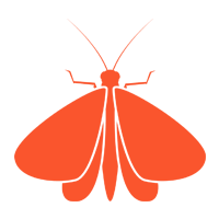 Indian Meal Moths — North Fort Myers, FL — My Pest Friend Indian Meal Moths — North Fort Myers, FL — My Pest Friend