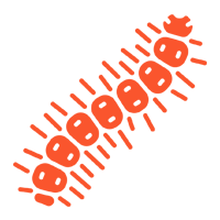 Millipedes — North Fort Myers, FL — My Pest Friend Millipedes — North Fort Myers, FL — My Pest Friend