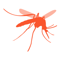 Mosquitos — North Fort Myers, FL — My Pest Friend Mosquitos — North Fort Myers, FL — My Pest Friend