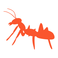 Odorous House Ants — North Fort Myers, FL — My Pest Friend Odorous House Ants — North Fort Myers, FL — My Pest Friend