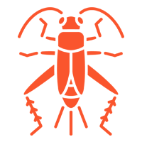 Spider Crickets — North Fort Myers, FL — My Pest Friend Spider Crickets — North Fort Myers, FL — My Pest Friend