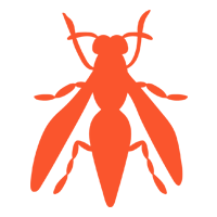 Wasps — North Fort Myers, FL — My Pest Friend Wasps — North Fort Myers, FL — My Pest Friend