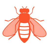 Yellow Jackets — North Fort Myers, FL — My Pest Friend Yellow Jackets — North Fort Myers, FL — My Pest Friend