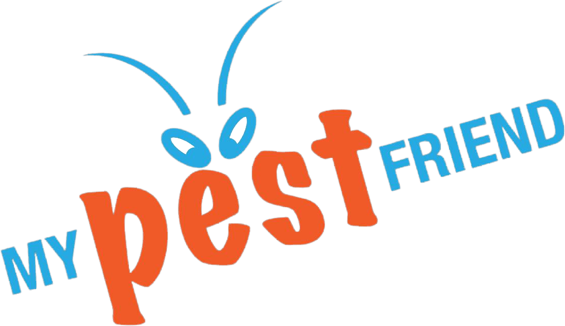 My Pest Friend My Pest Friend