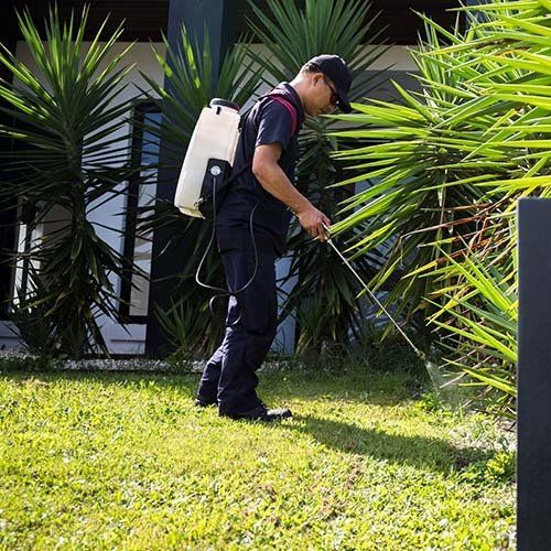 Spraying Pesticide with Portable Sprayer — Wilmington, NC — Coastal Exterminating