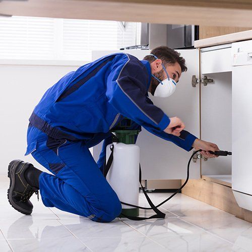 Man Spraying Pesticide In Kitchen — Wilmington, NC — Coastal Exterminating