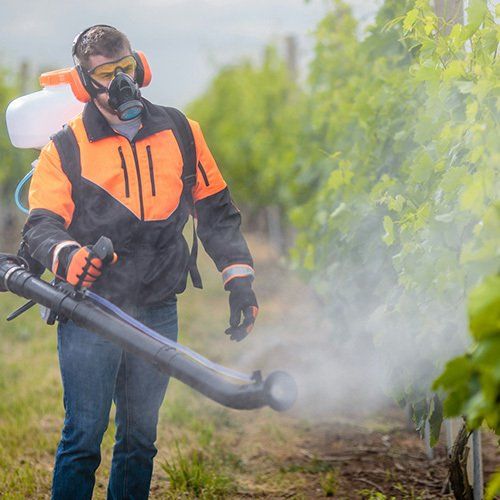 Fogging — Wilmington, NC — Coastal Exterminating