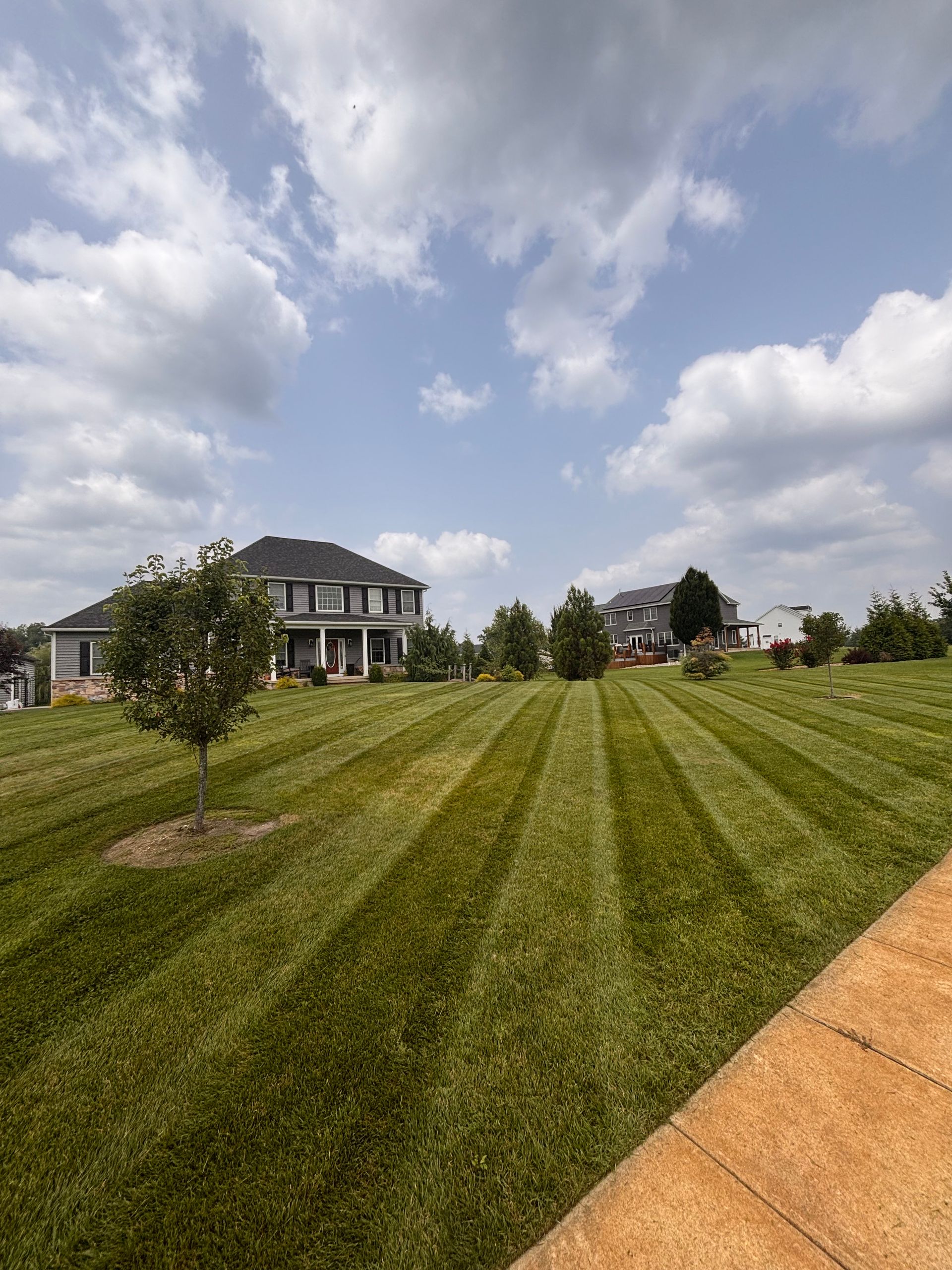 Lawn cut in half: one side dead and brown, the other lush green, with a clear line dividing them. Lawn cut in half: one side dead and brown, the other lush green, with a clear line dividing them.