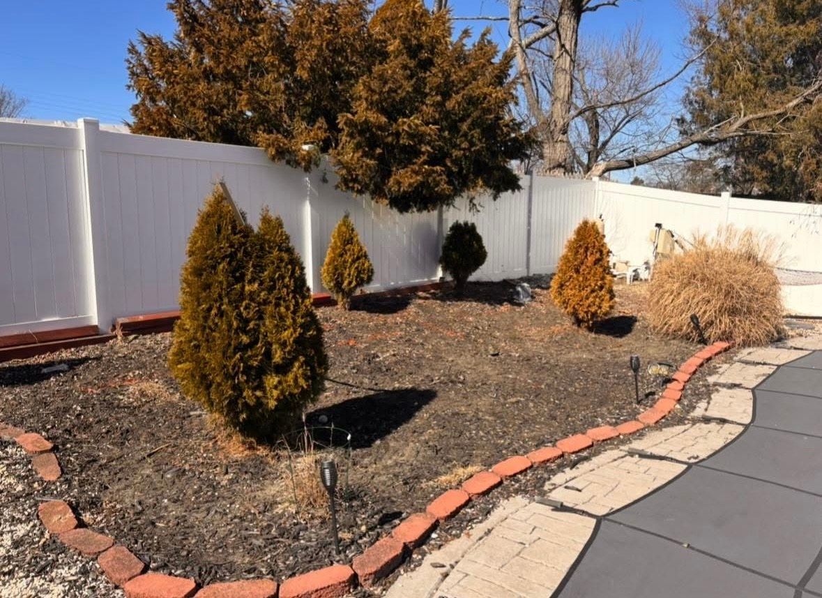 A small garden bed with several brown evergreens, edged by red bricks, against a white fence.