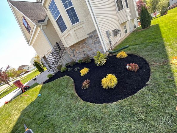 Landscaped front yard with fresh black mulch, colorful shrubs, and a house with beige siding. Landscaped front yard with fresh black mulch, colorful shrubs, and a house with beige siding.
