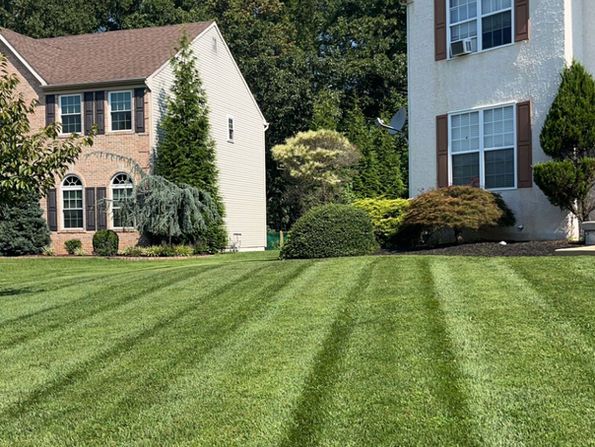 Lawn with alternating stripes, in front of two-story houses with lush landscaping. Lawn with alternating stripes, in front of two-story houses with lush landscaping.