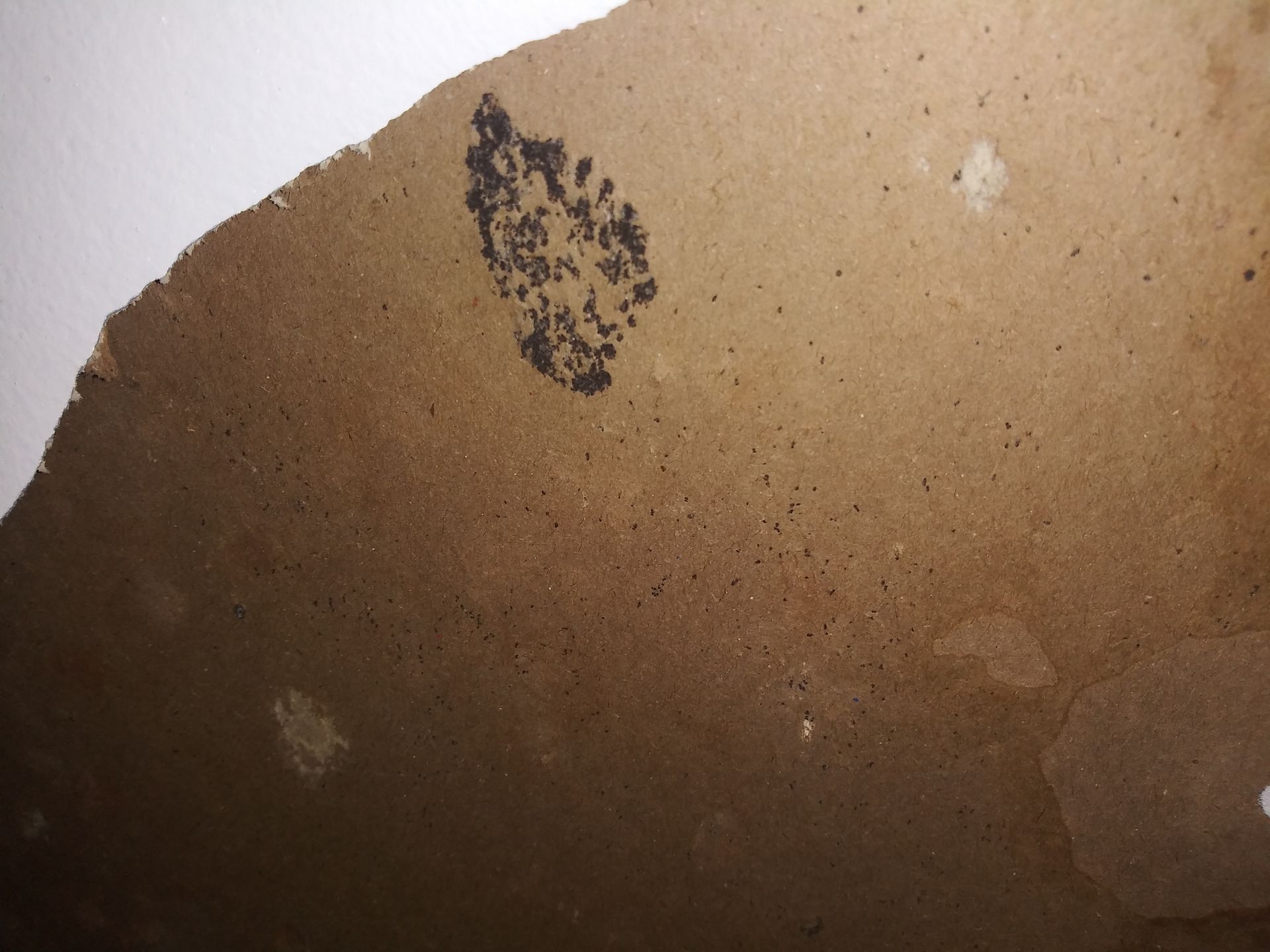 A piece of brown paper with a stamp on it