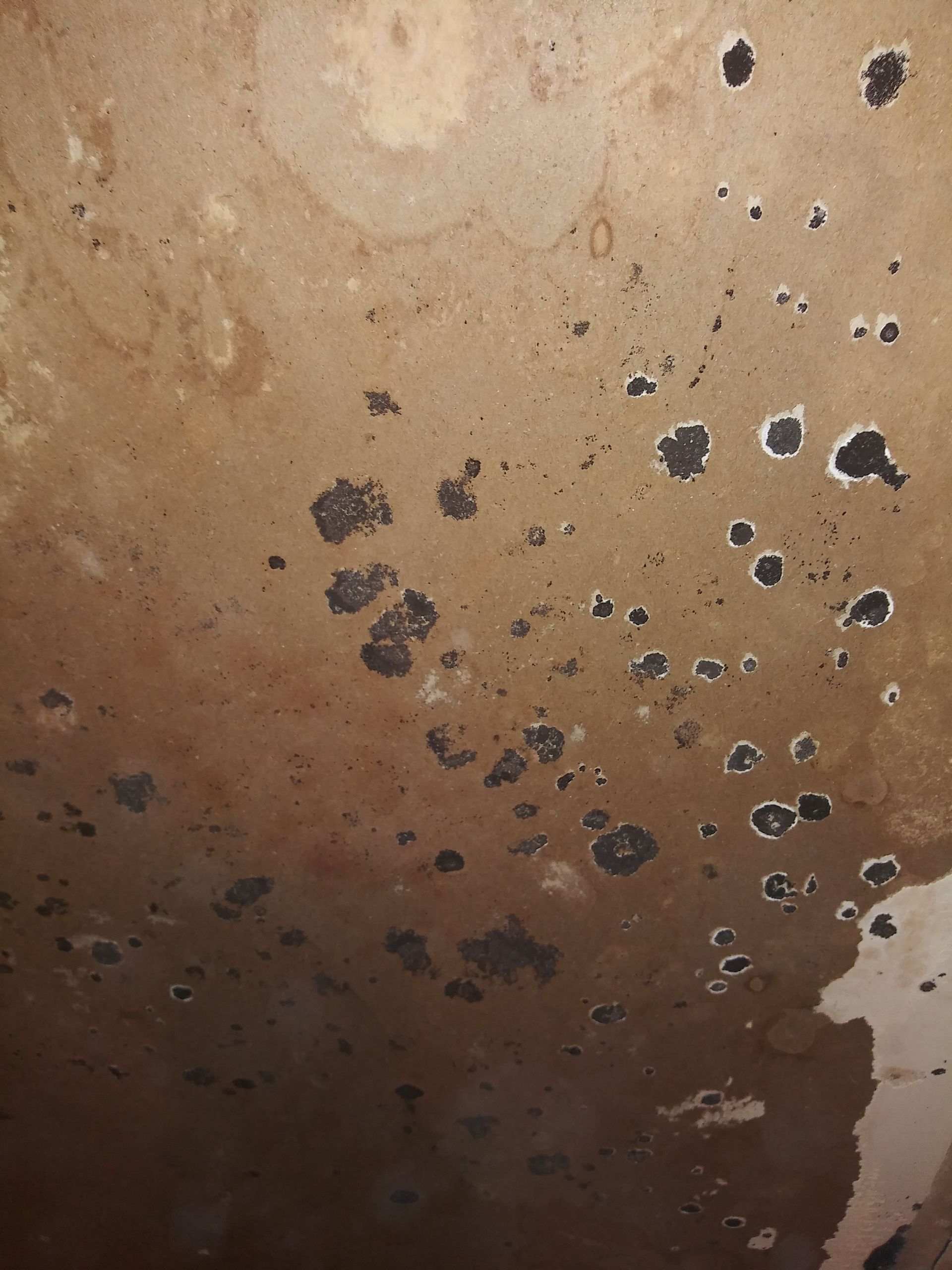 A close up of a brown surface with holes in it