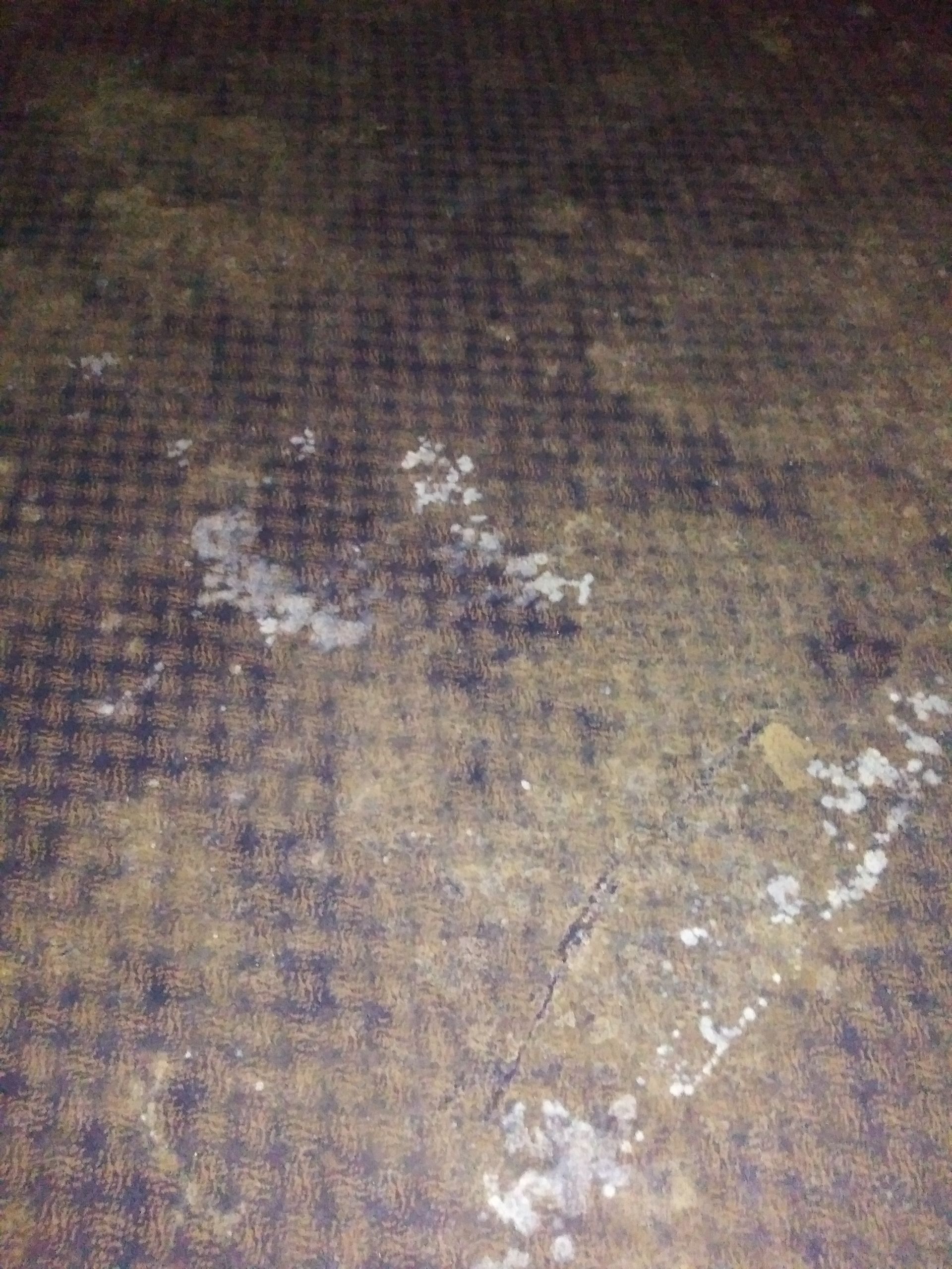 A close up of a dirty carpet with white spots on it.