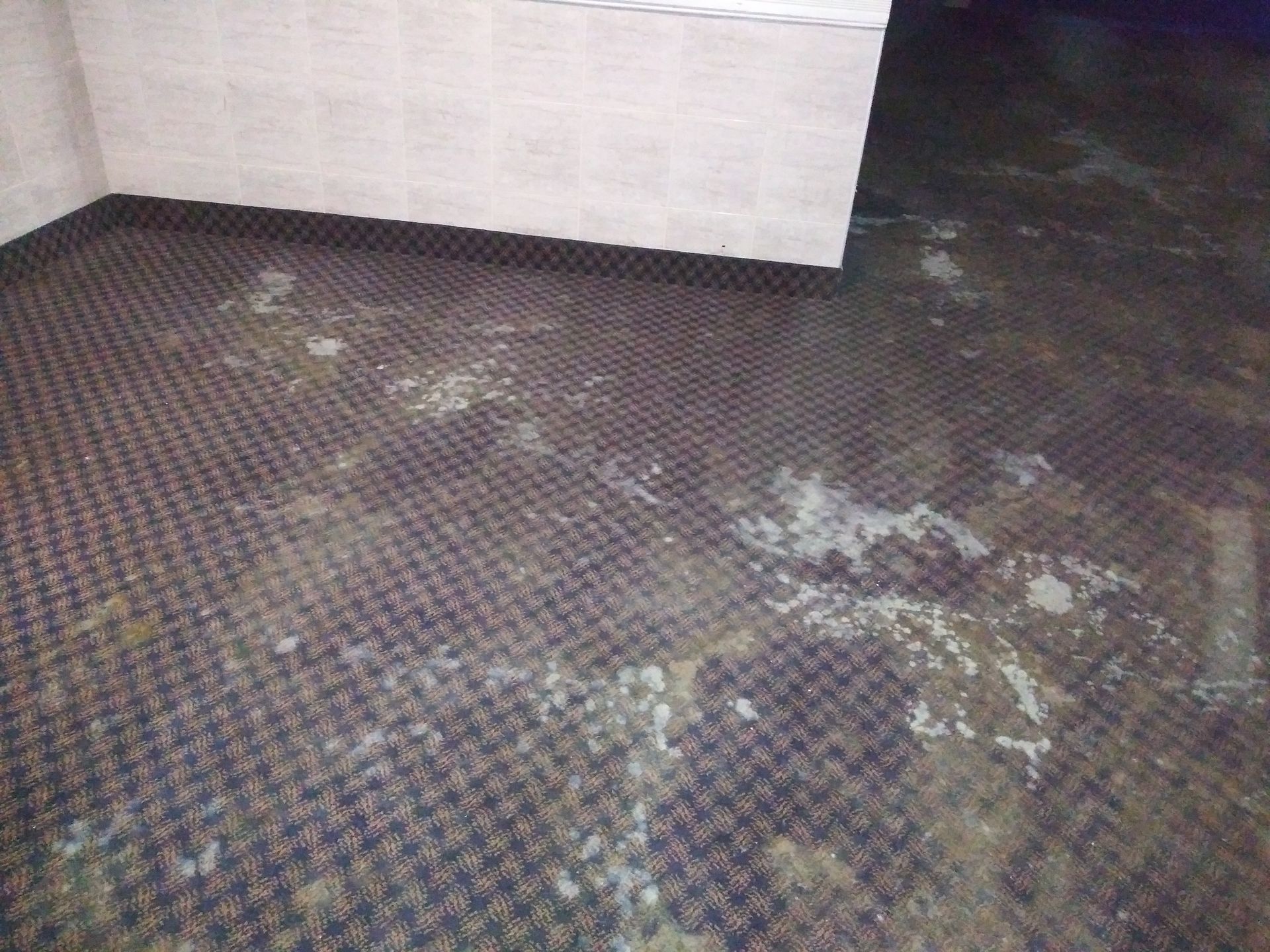 A room with a dirty carpet and a brick wall.