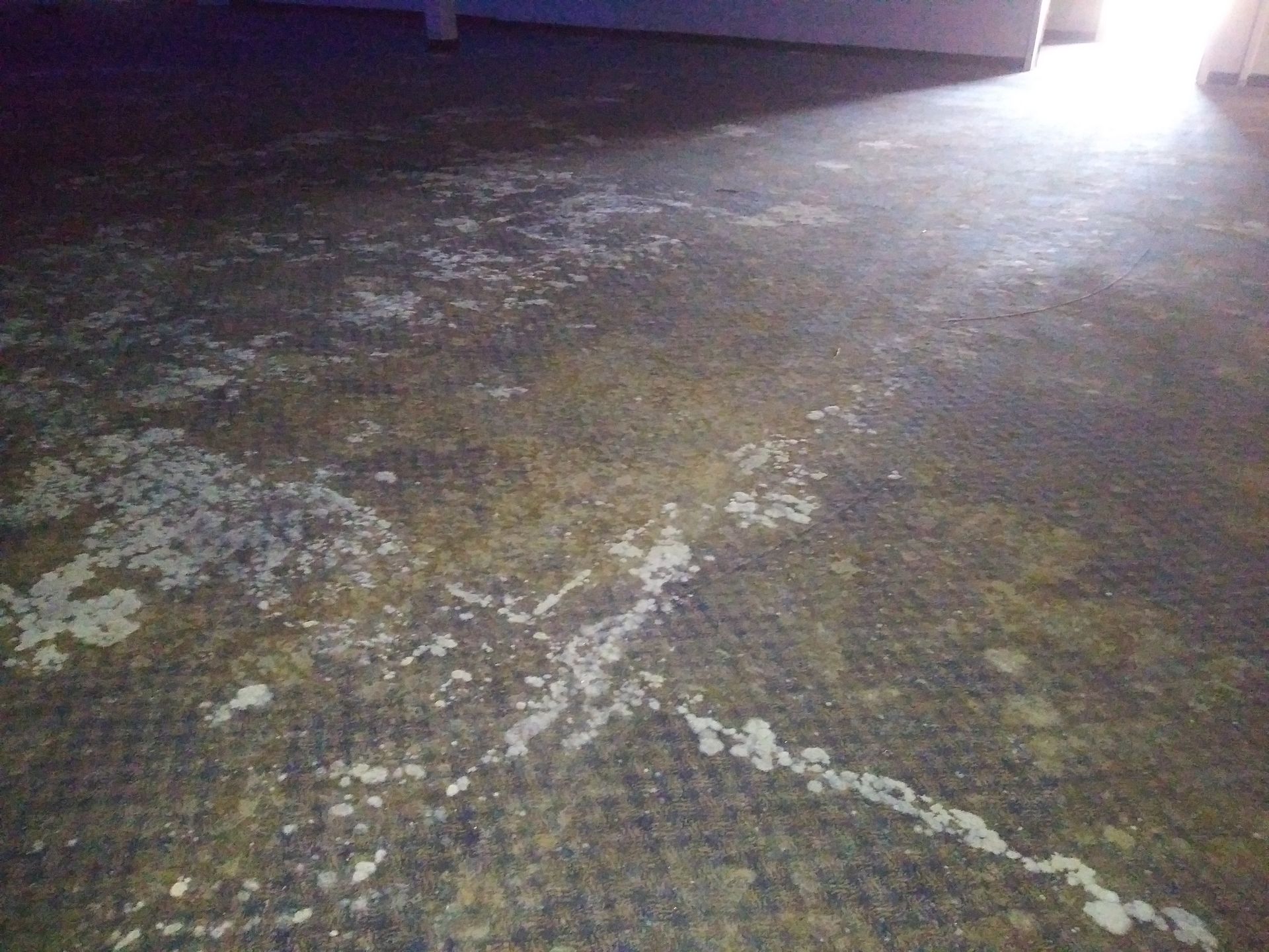 A dirty floor with a few white spots on it