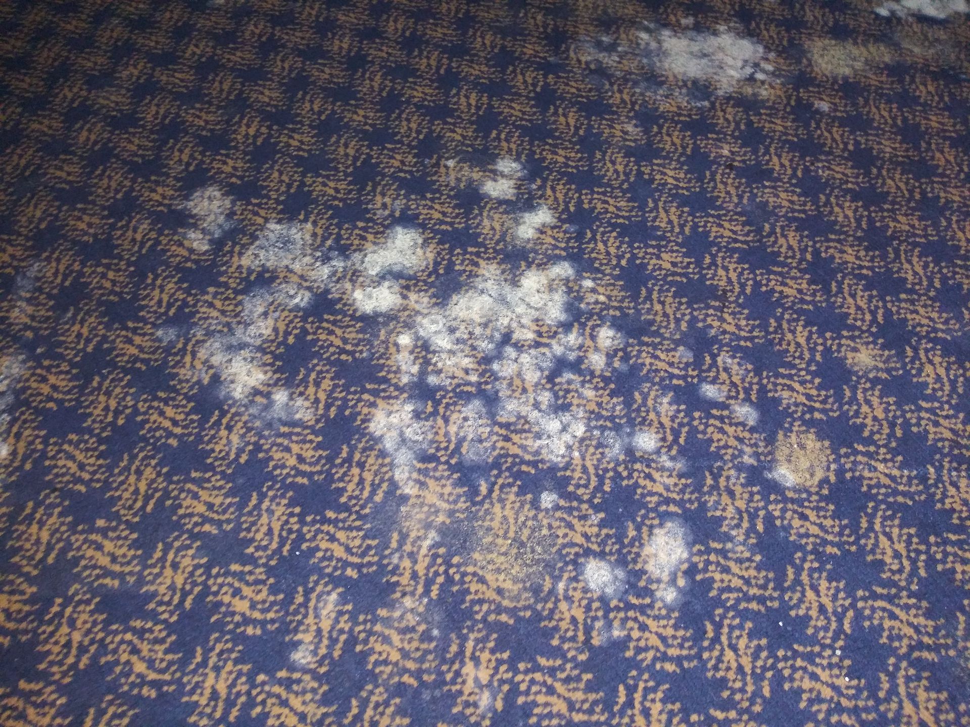 A blue and gold carpet with white spots on it