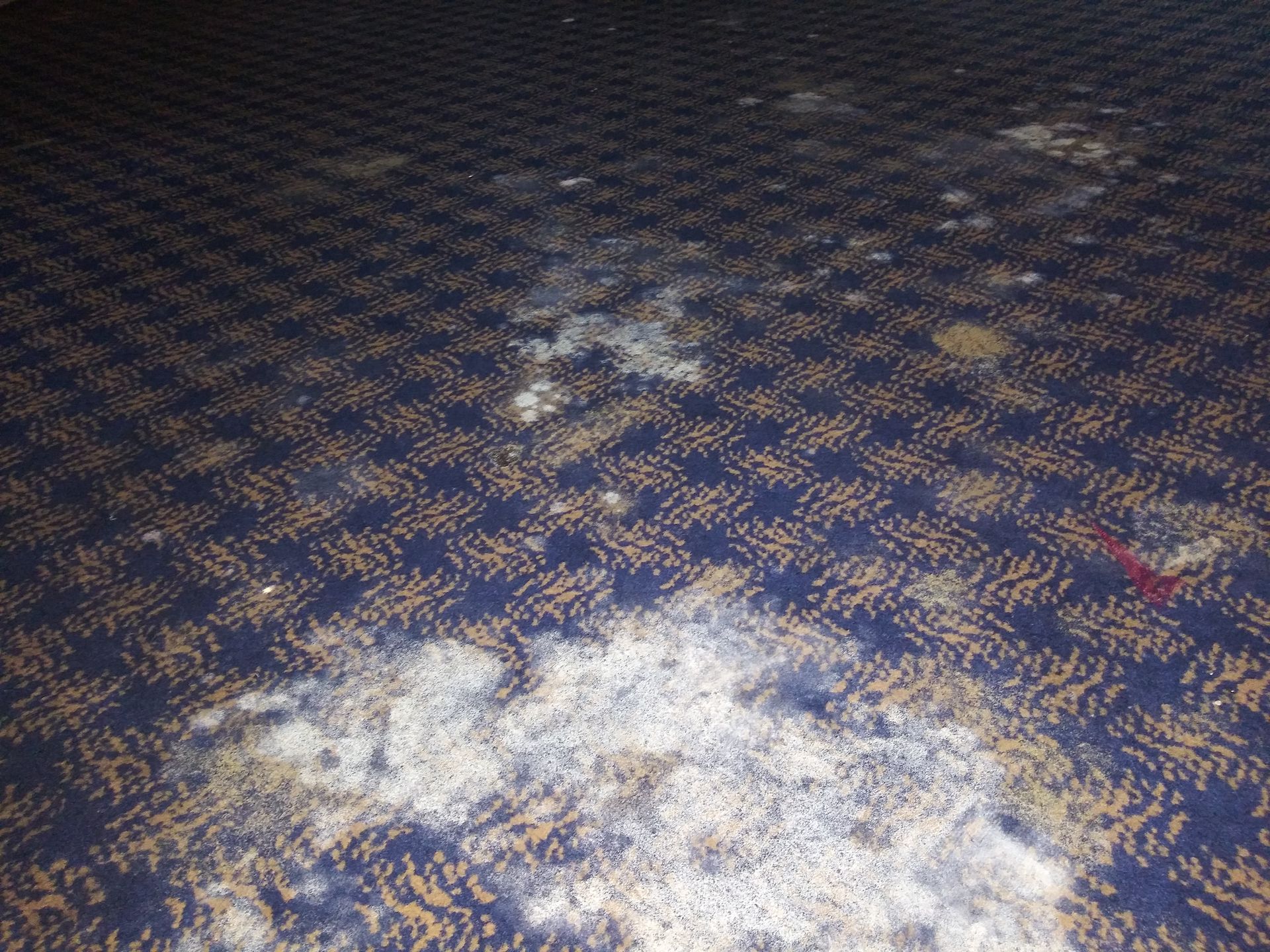 A blue and gold carpet has a lot of dust on it