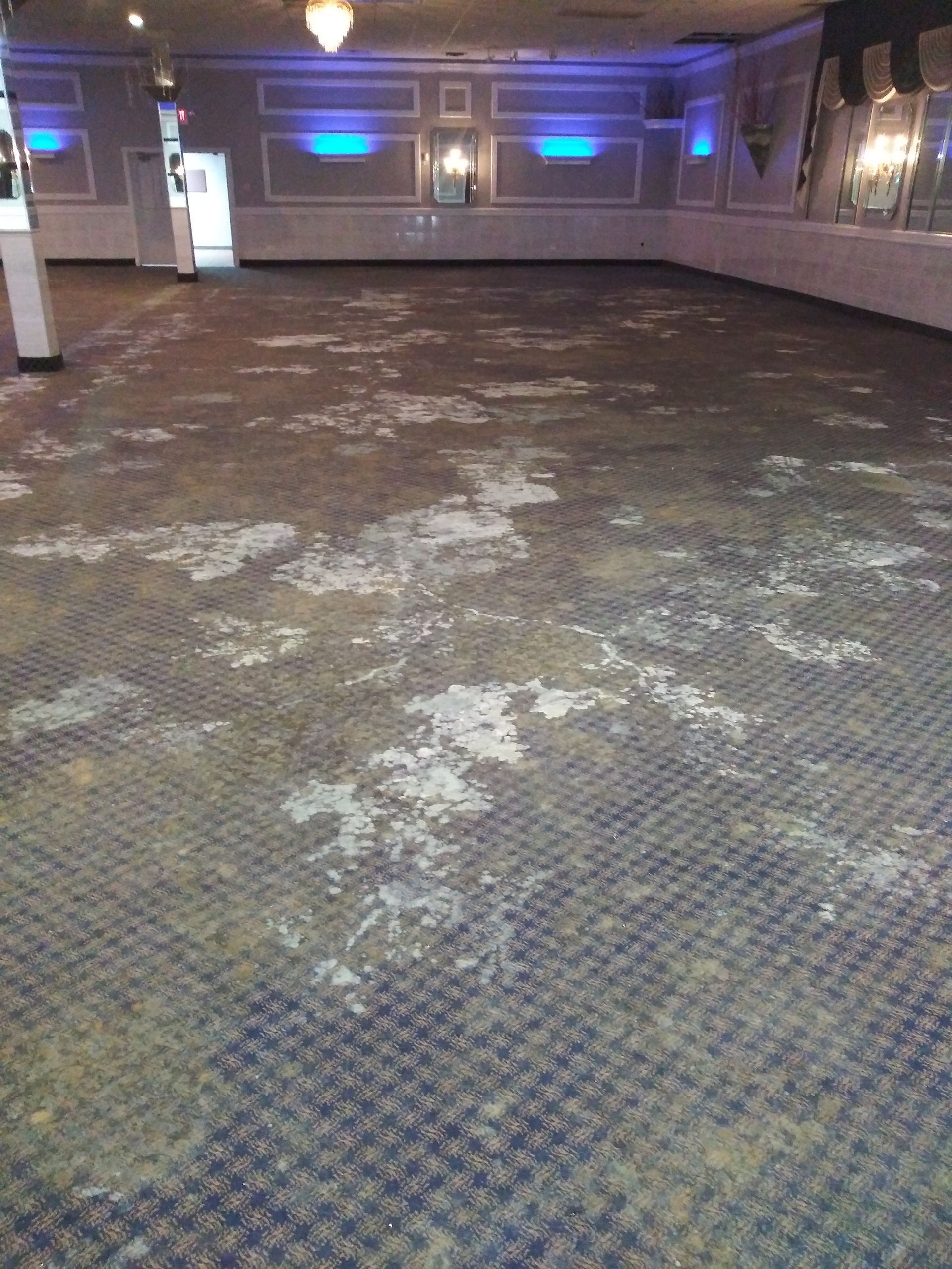 A large empty room with a dirty carpet and a purple light on the ceiling.