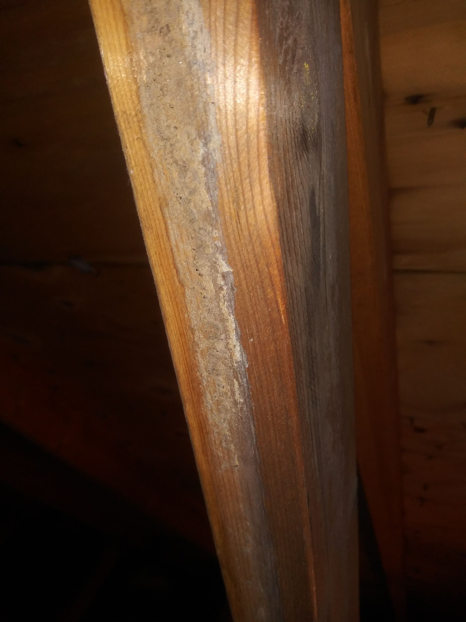 A close up of a wooden post in an attic.