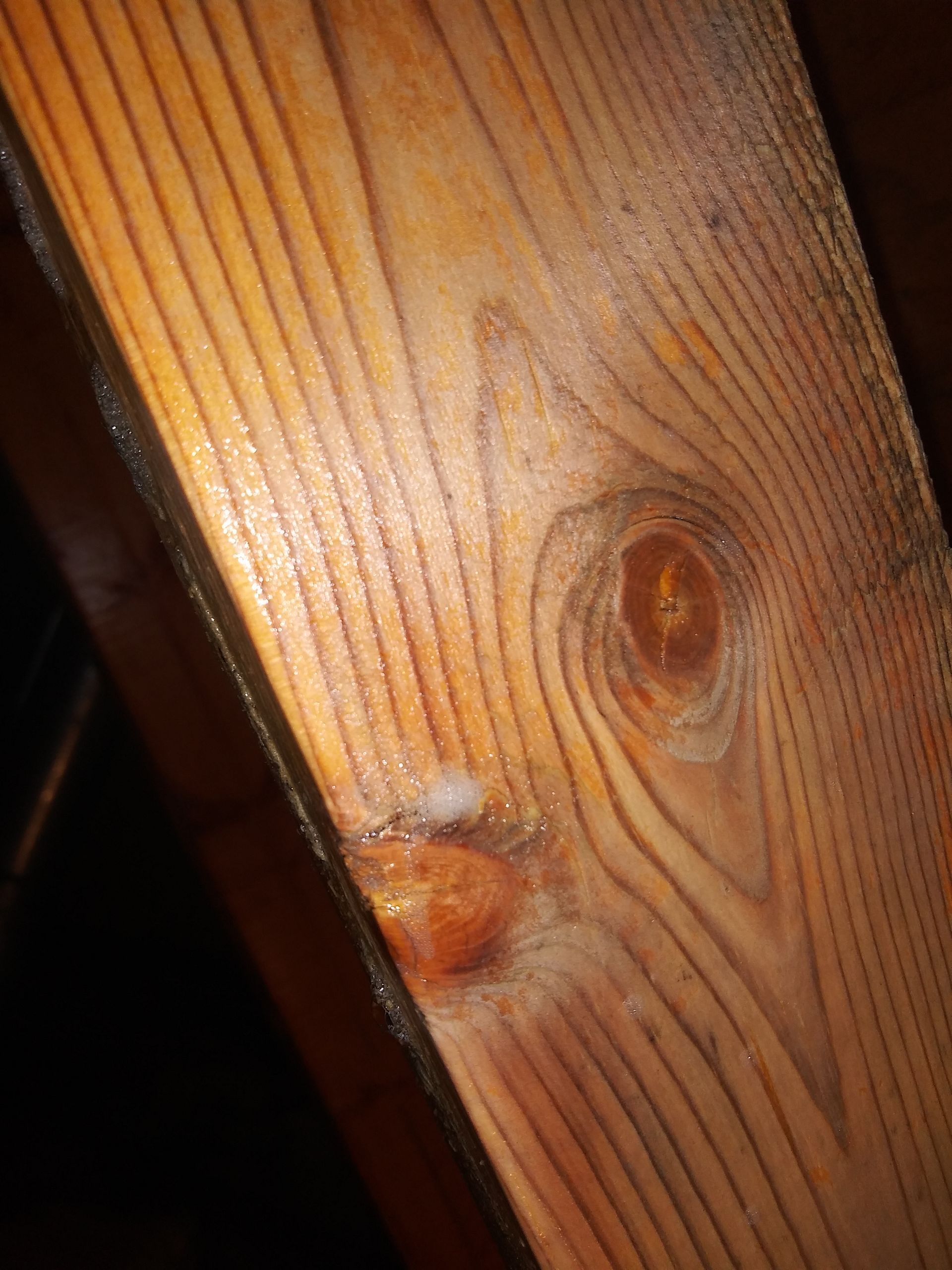 A close up of a piece of wood with a knot in it.