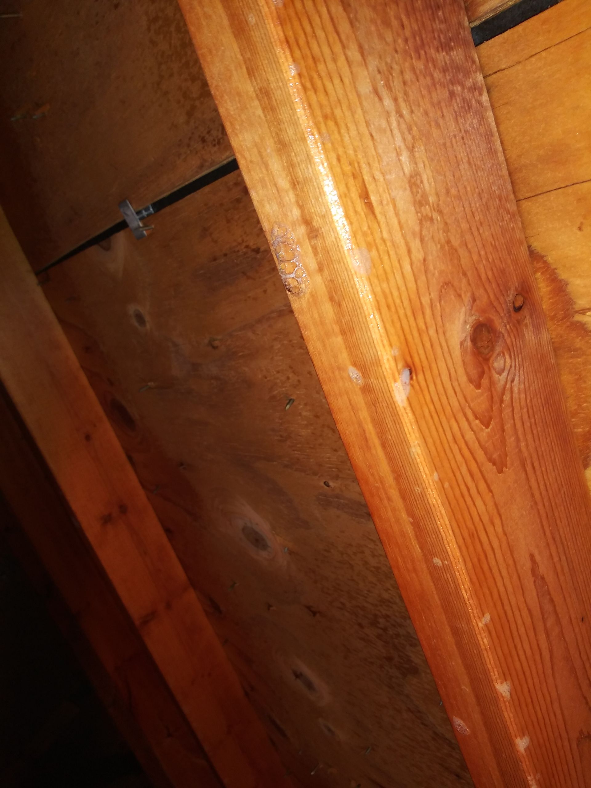 A close up of a piece of wood in a room.