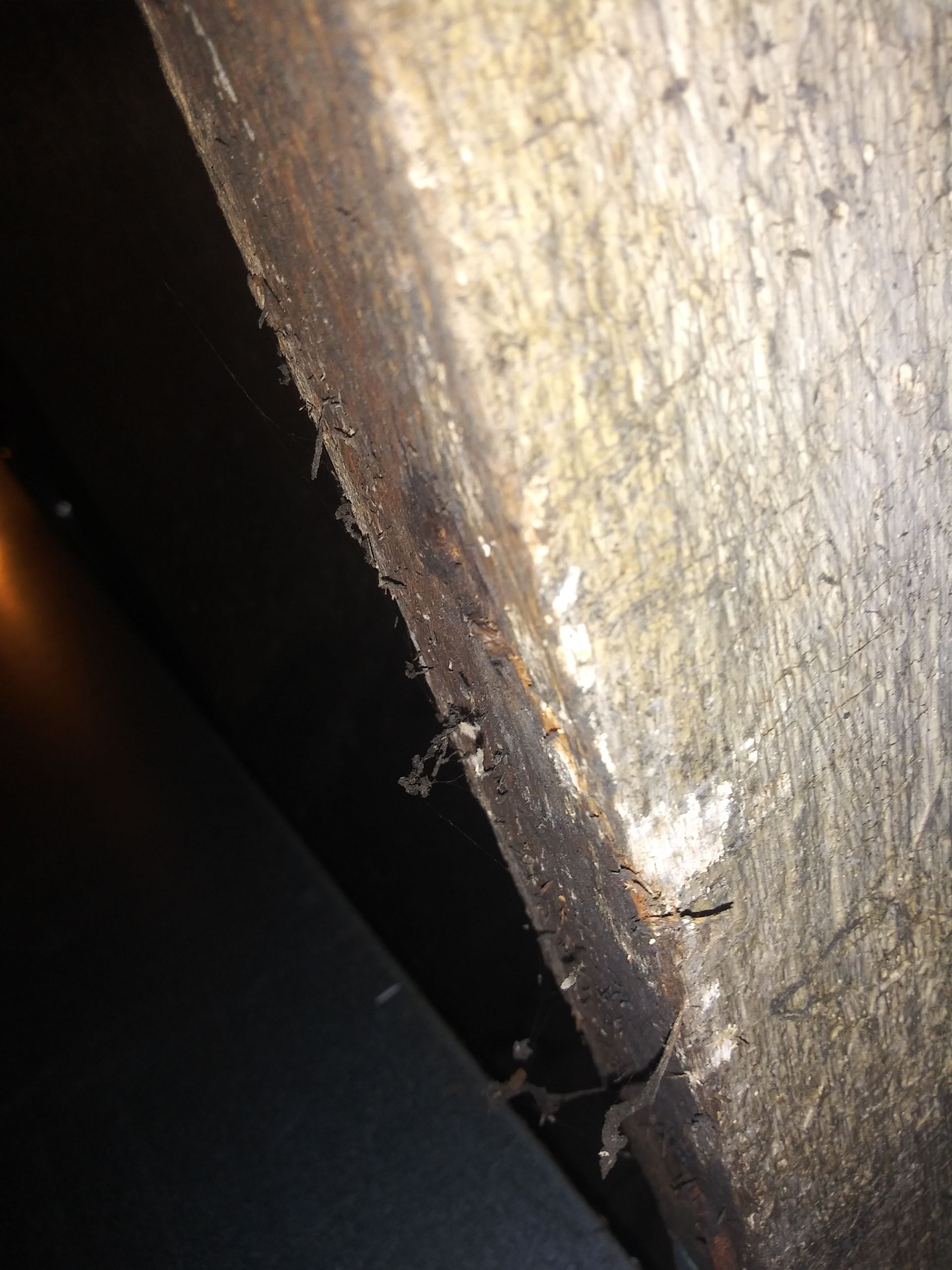 A close up of a piece of wood with a hole in it.