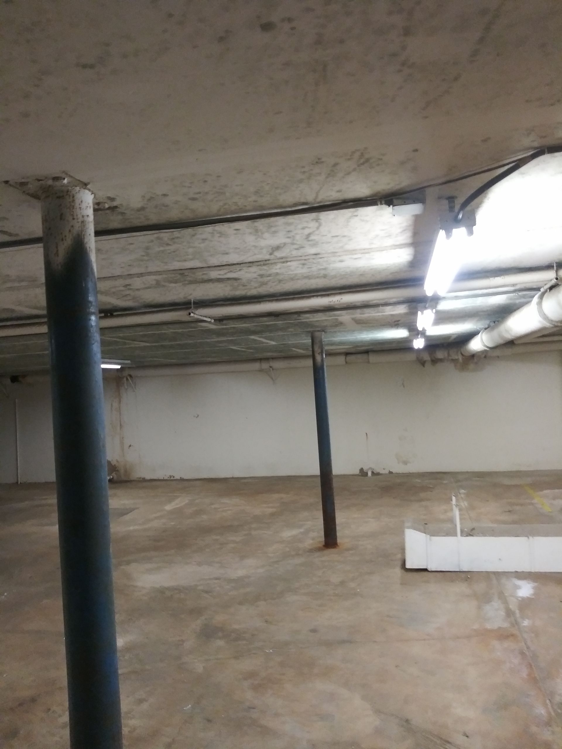 An empty basement with columns and a light on the ceiling