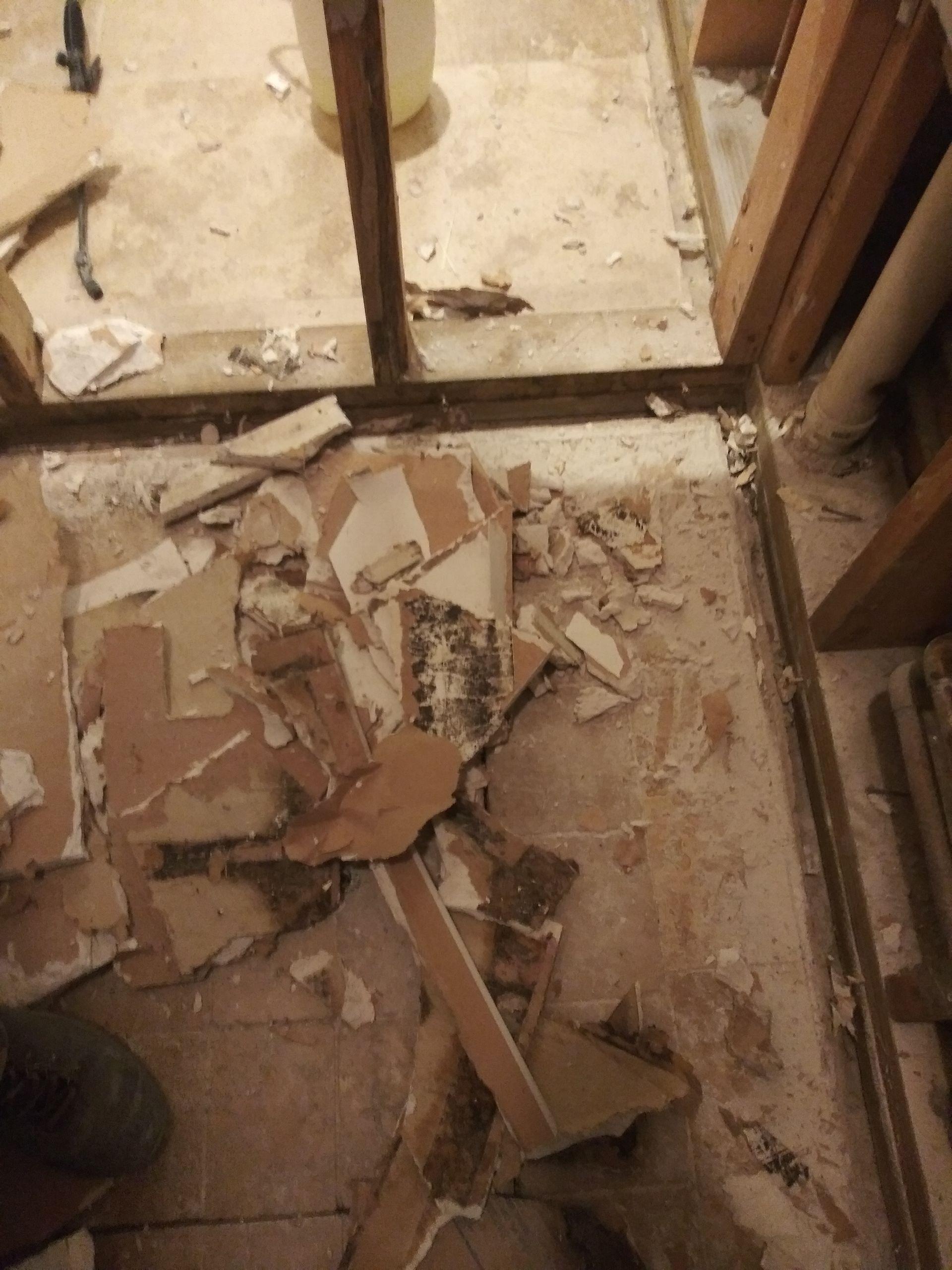 A person is standing in a room with a lot of cardboard on the floor.