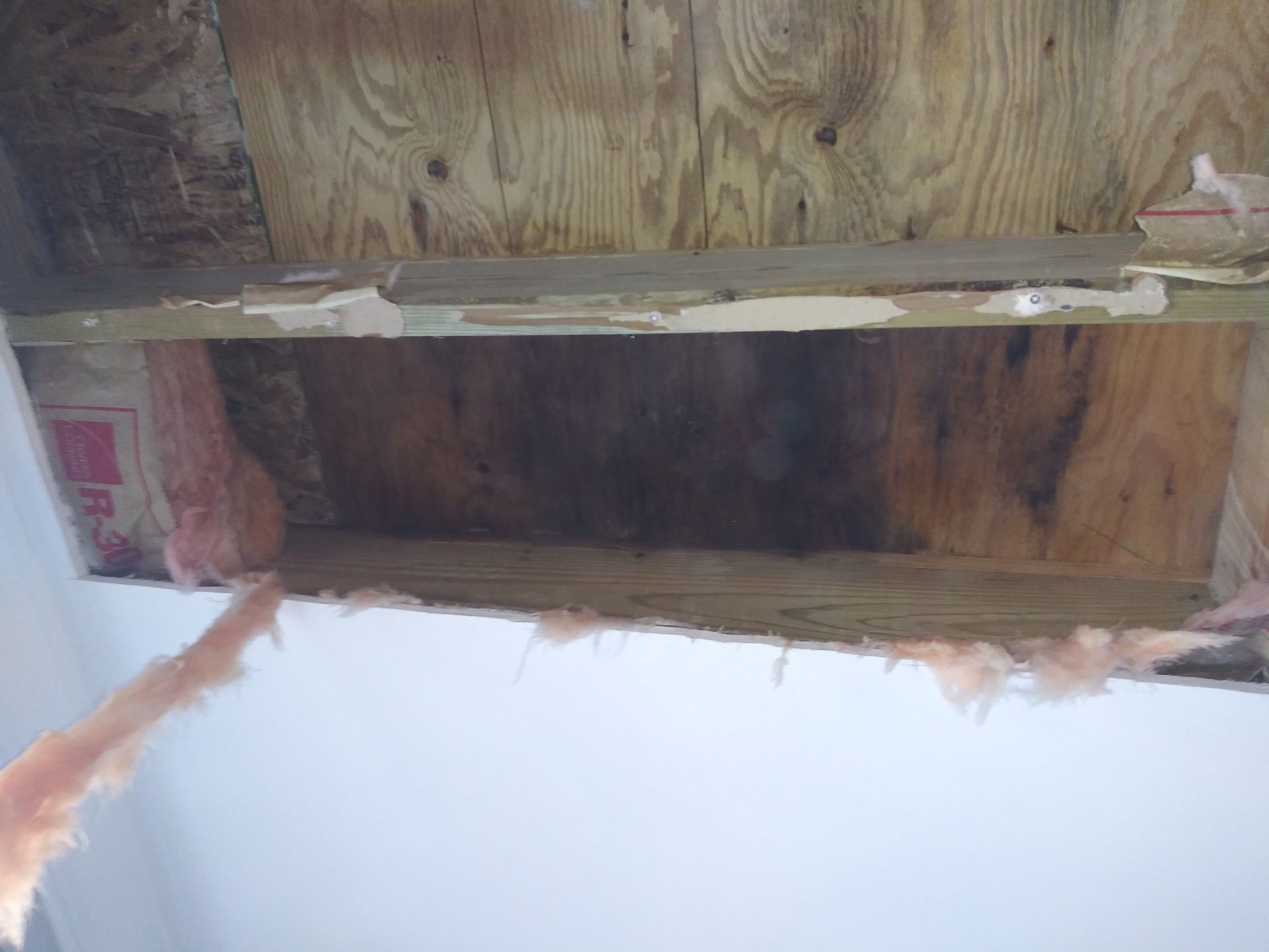 A person is pointing at a hole in the ceiling of a house.