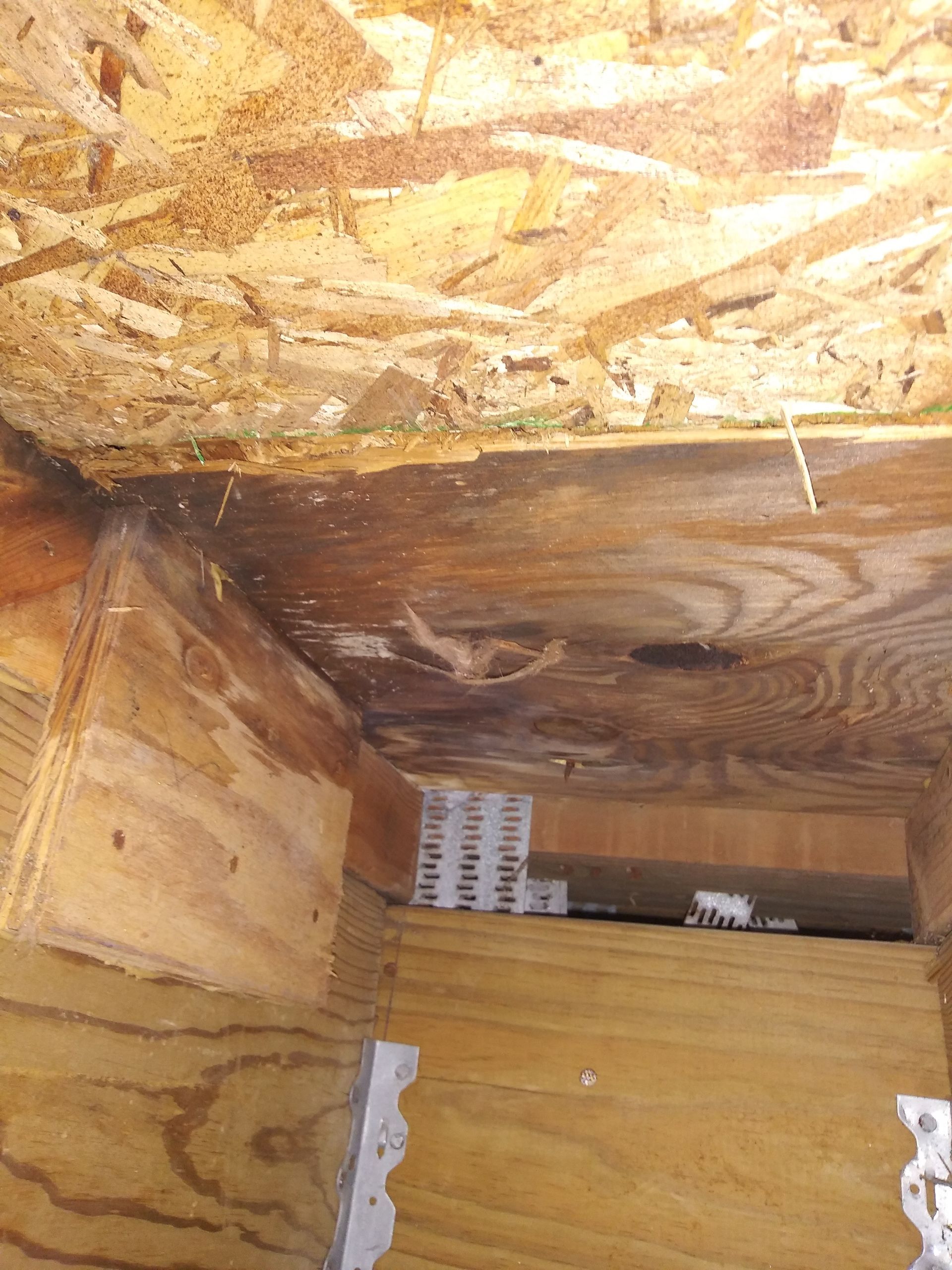 A close up of a wooden ceiling with a hole in it.