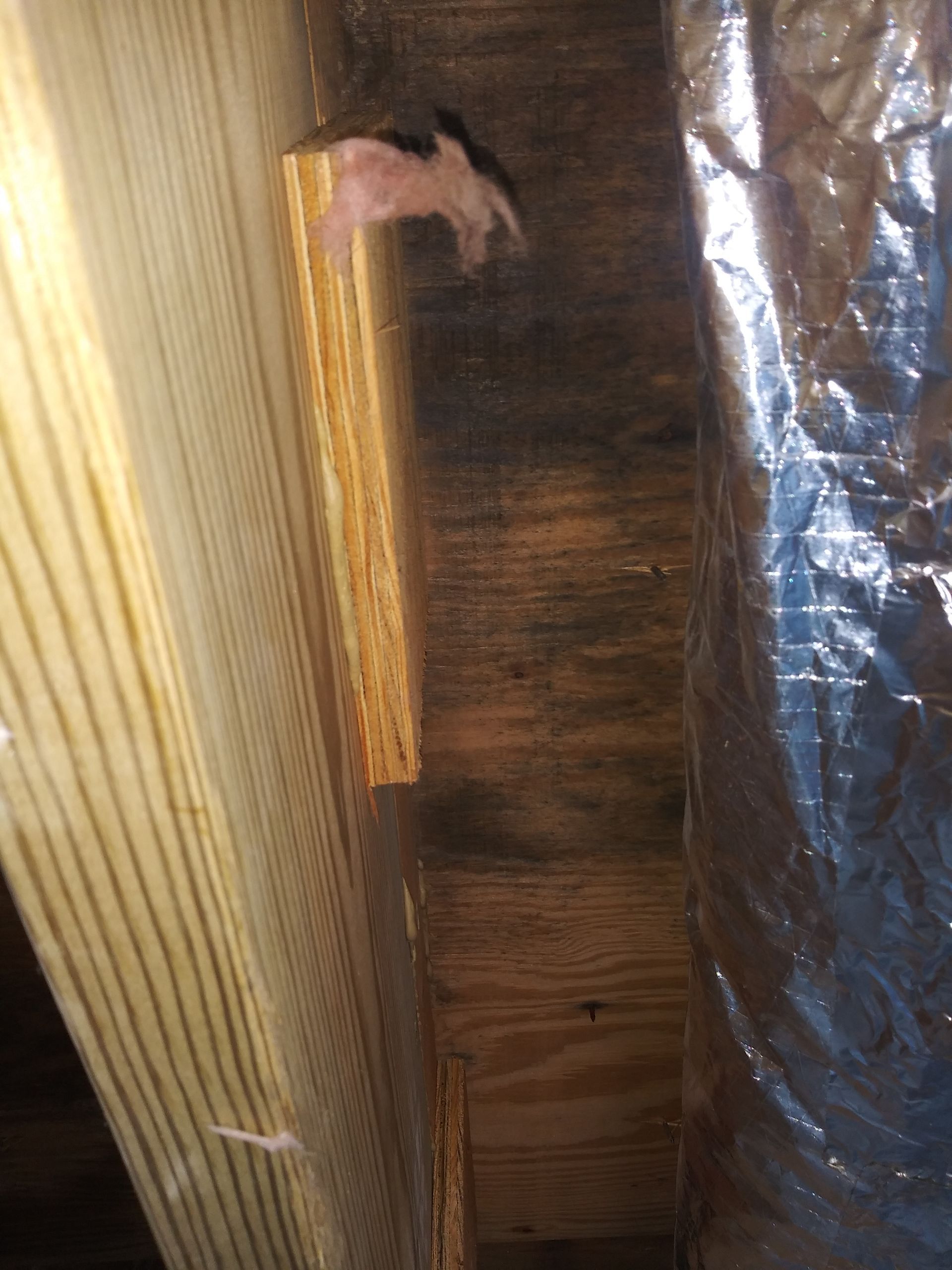 A mouse is crawling through a hole in a wooden wall.