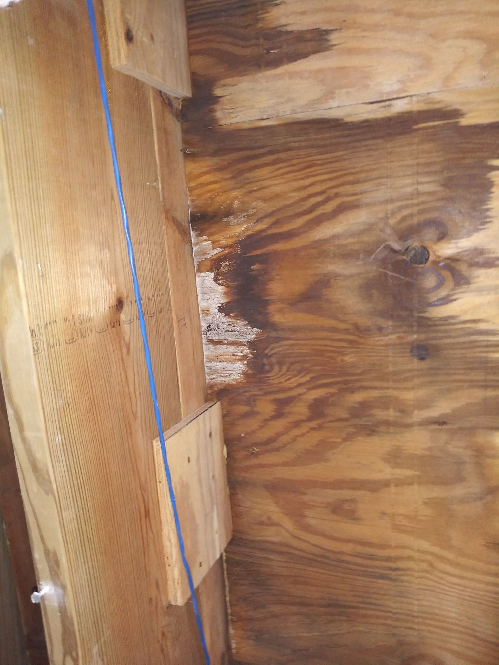 A close up of a piece of wood with a blue rope attached to it.