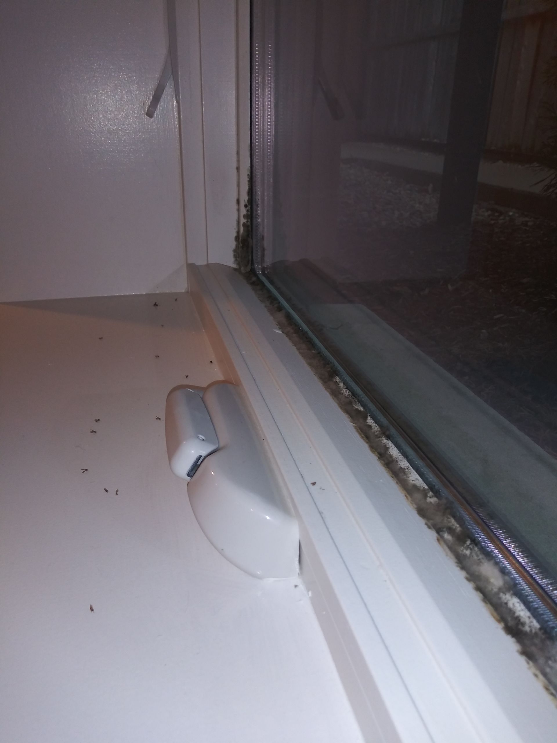 A close up of a window with a white frame