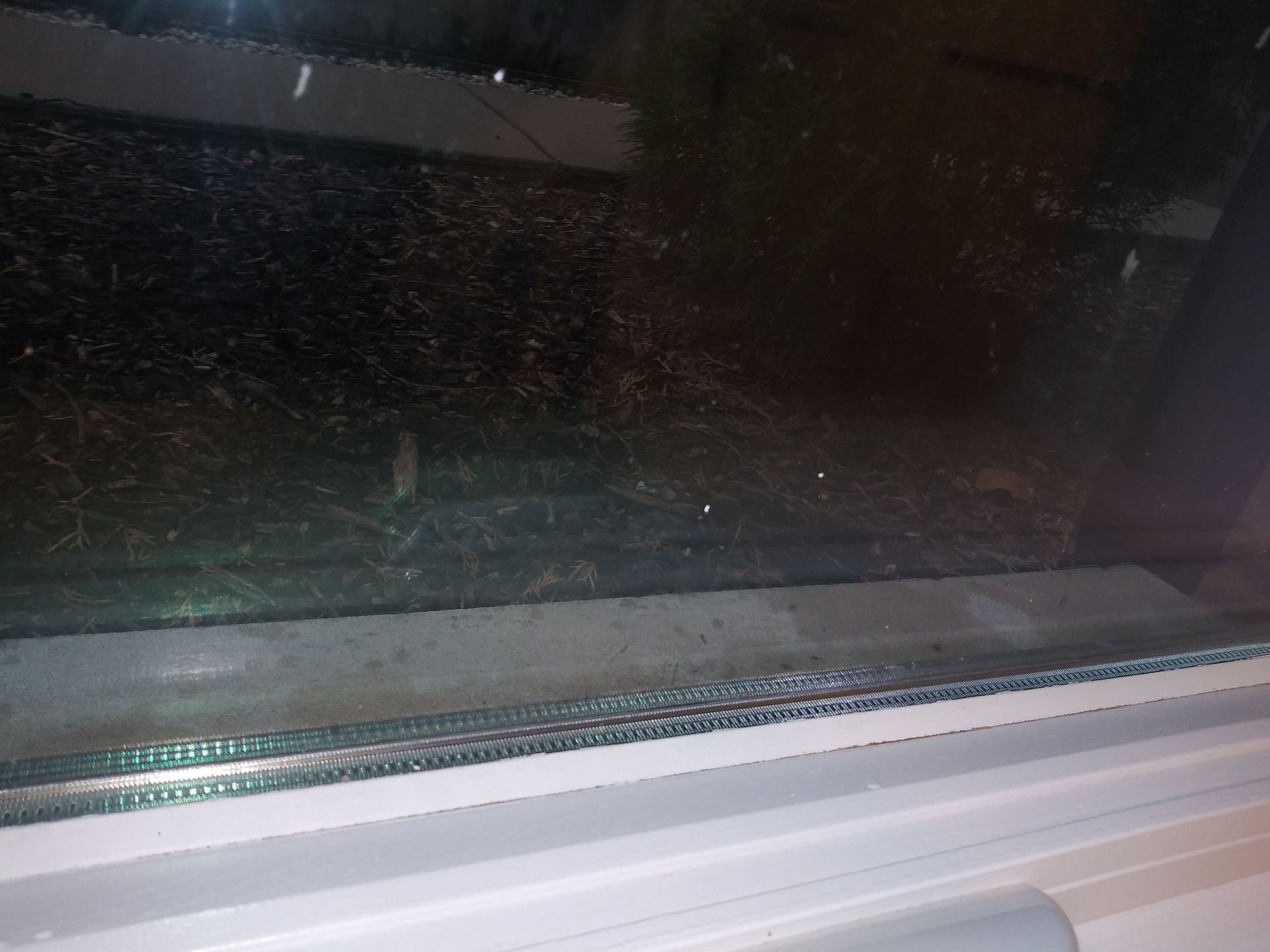 A close up of a window with snow falling outside