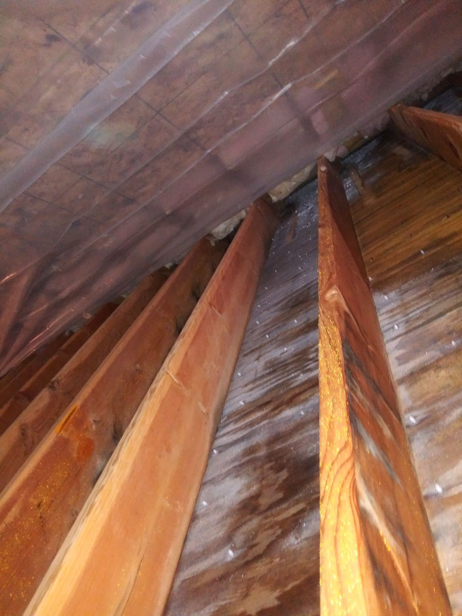 A close up of a wooden staircase in a house.
