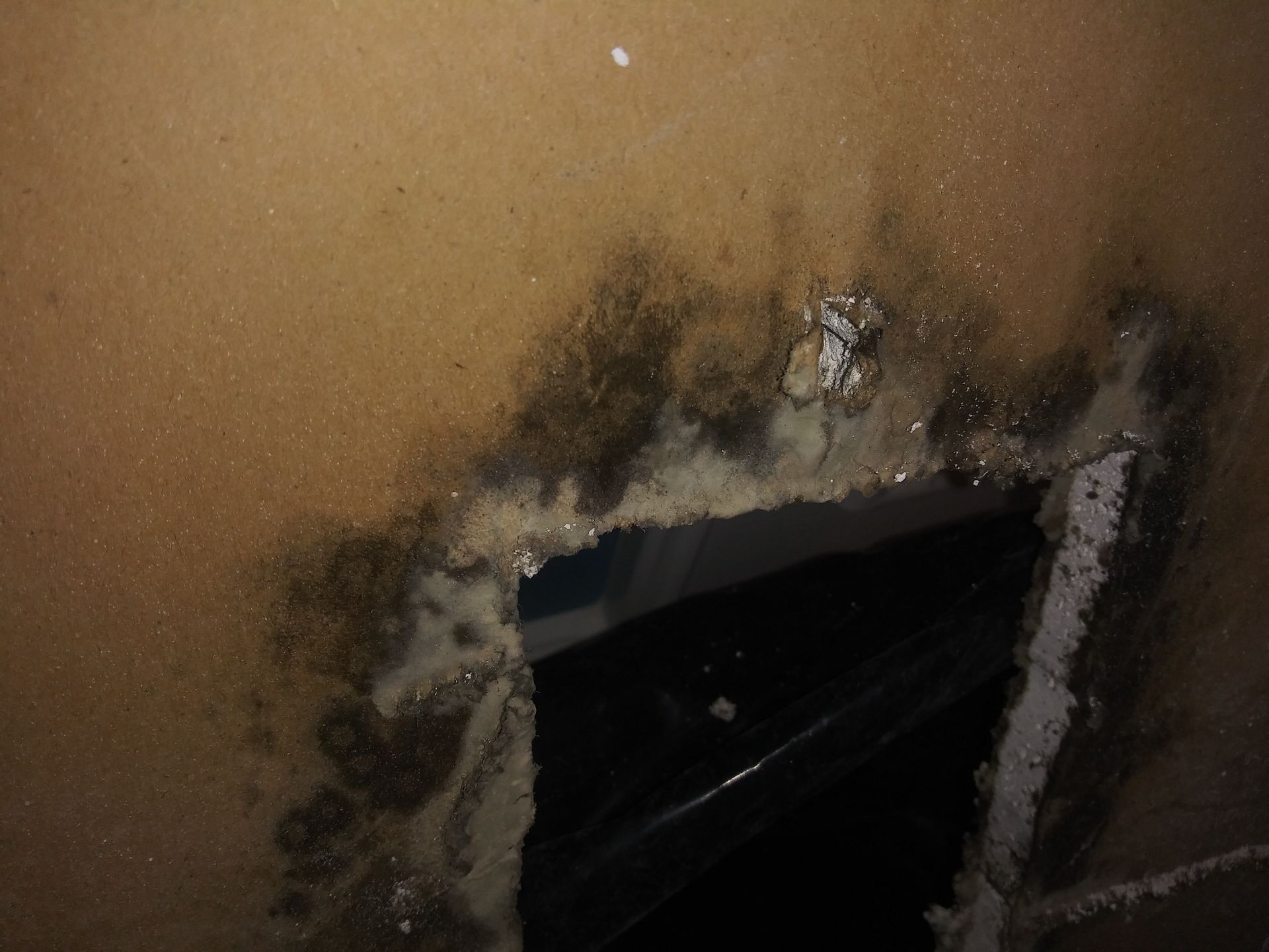 A close up of a hole in a wall with mold growing on it.