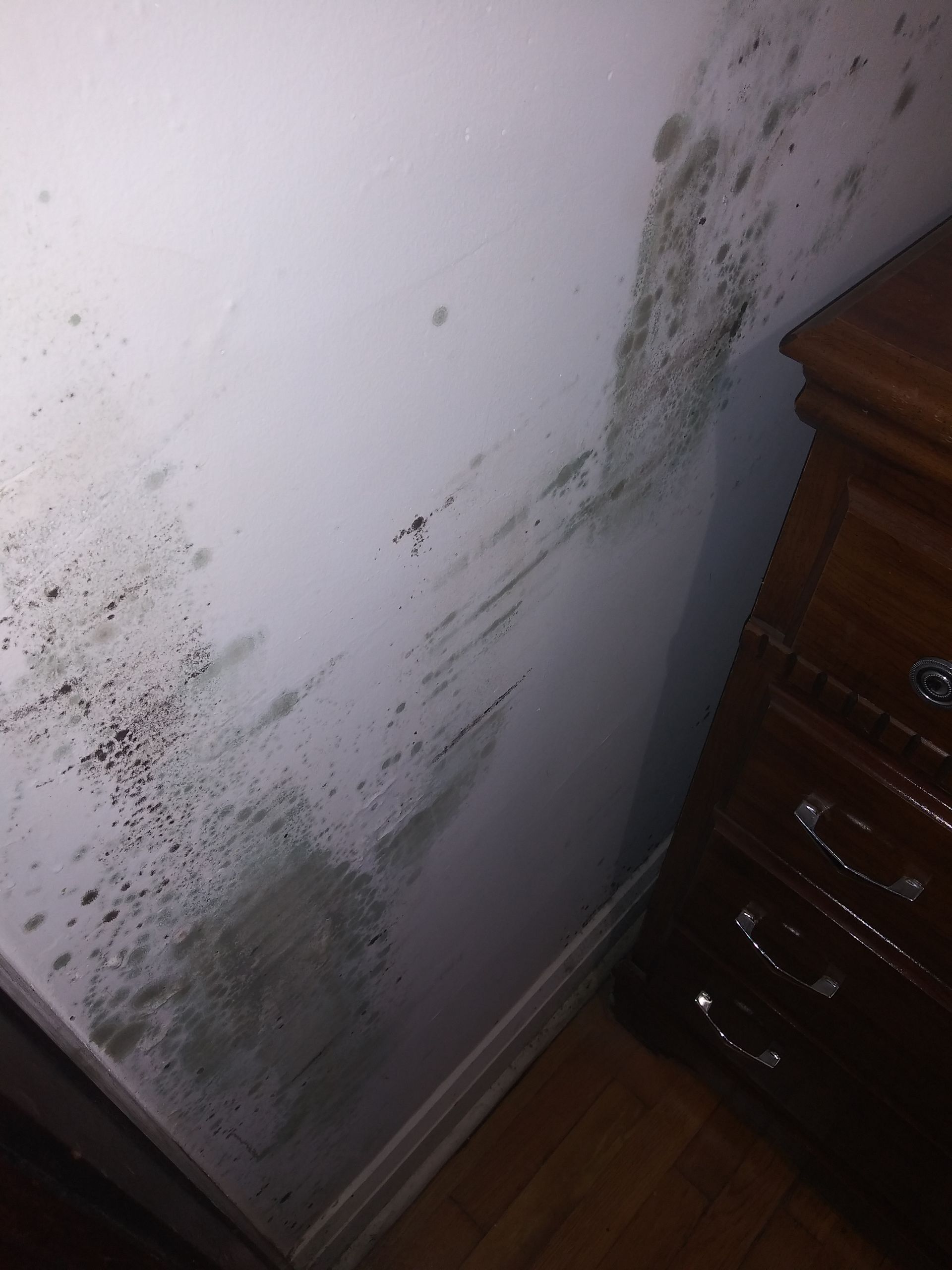 A bedroom with a dirty wall and a dresser