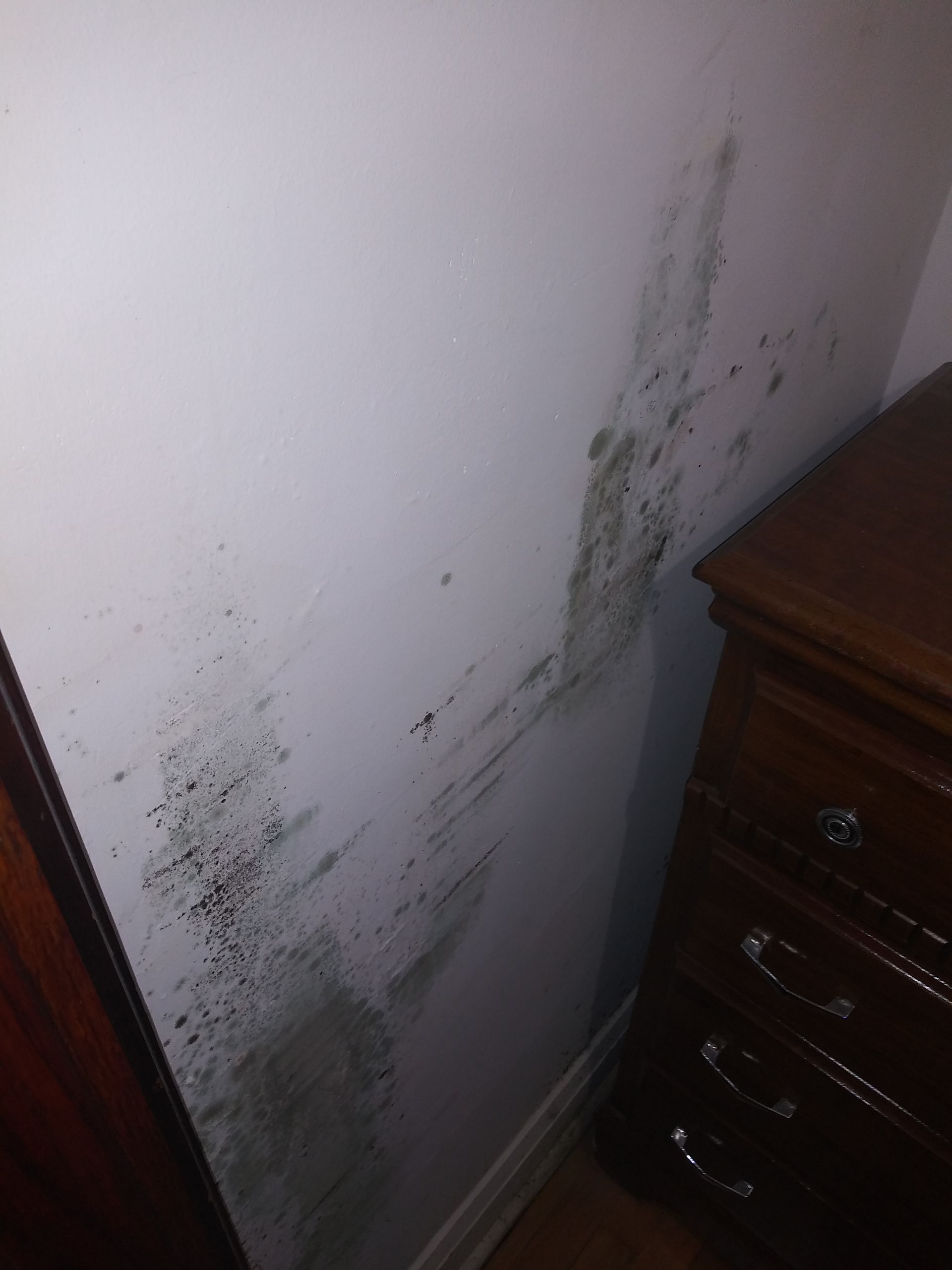 A white wall with black spots on it next to a wooden dresser.