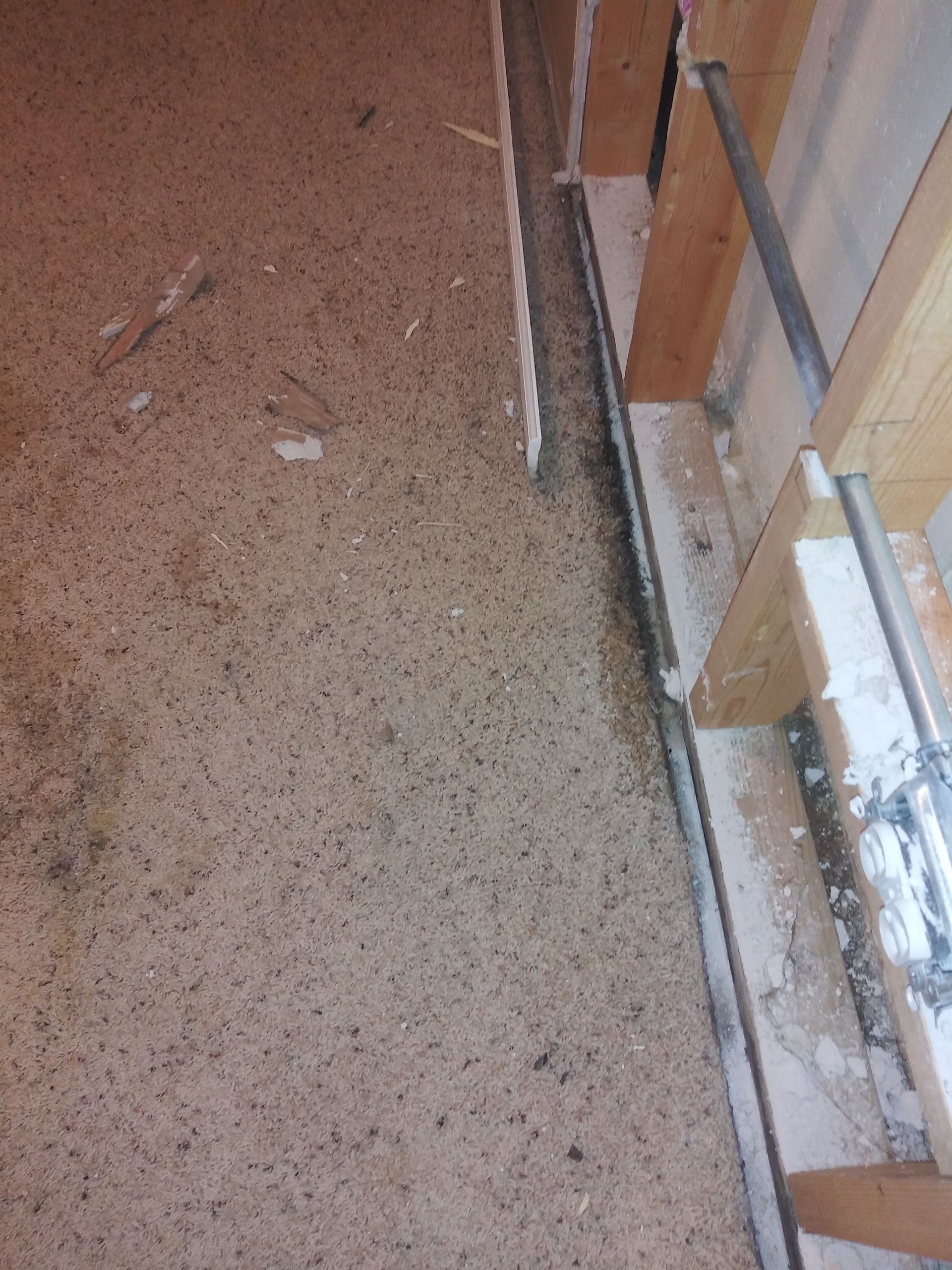 A close up of a carpeted floor next to a wooden wall