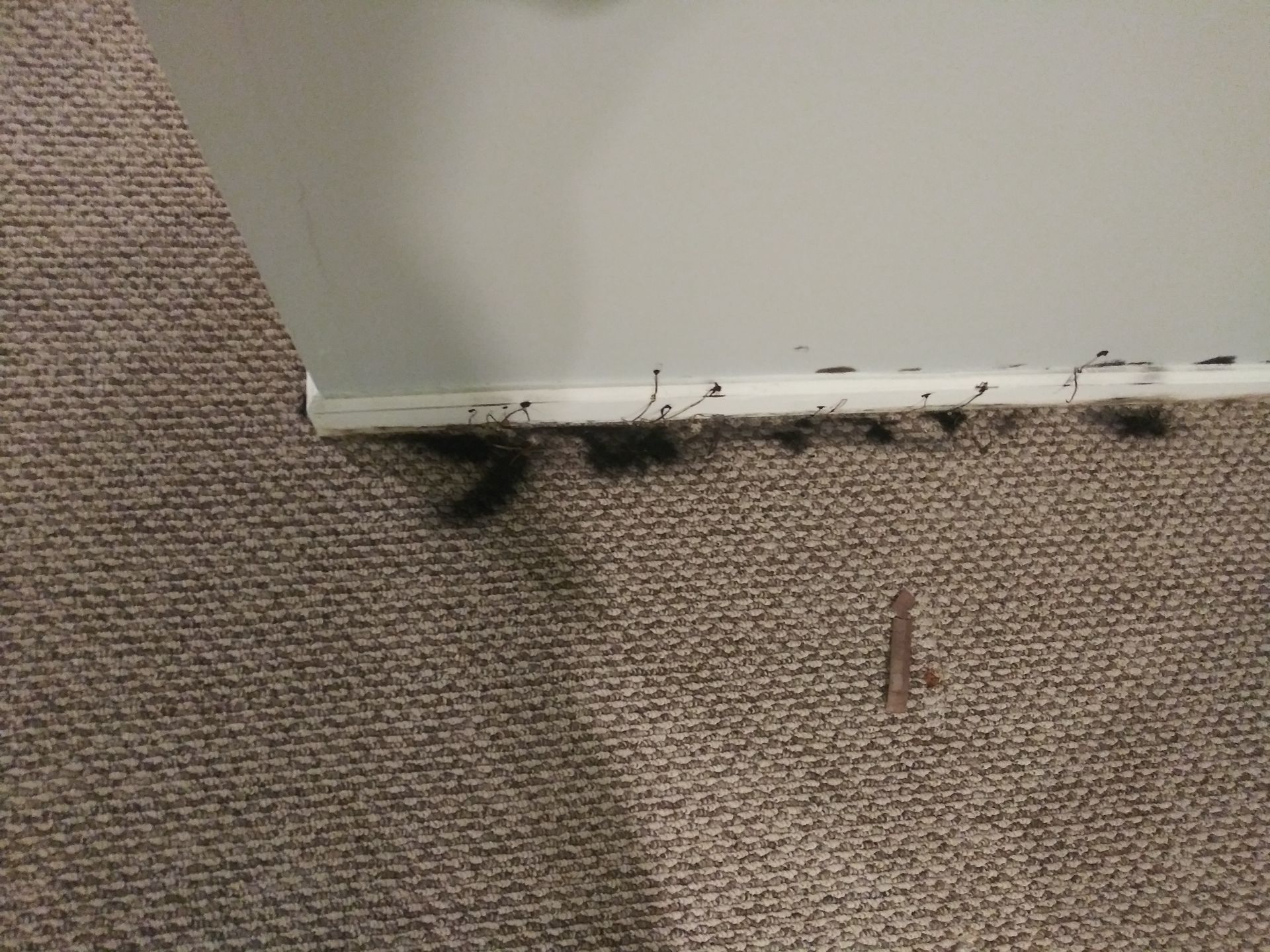 A close up of a carpet with stains on it