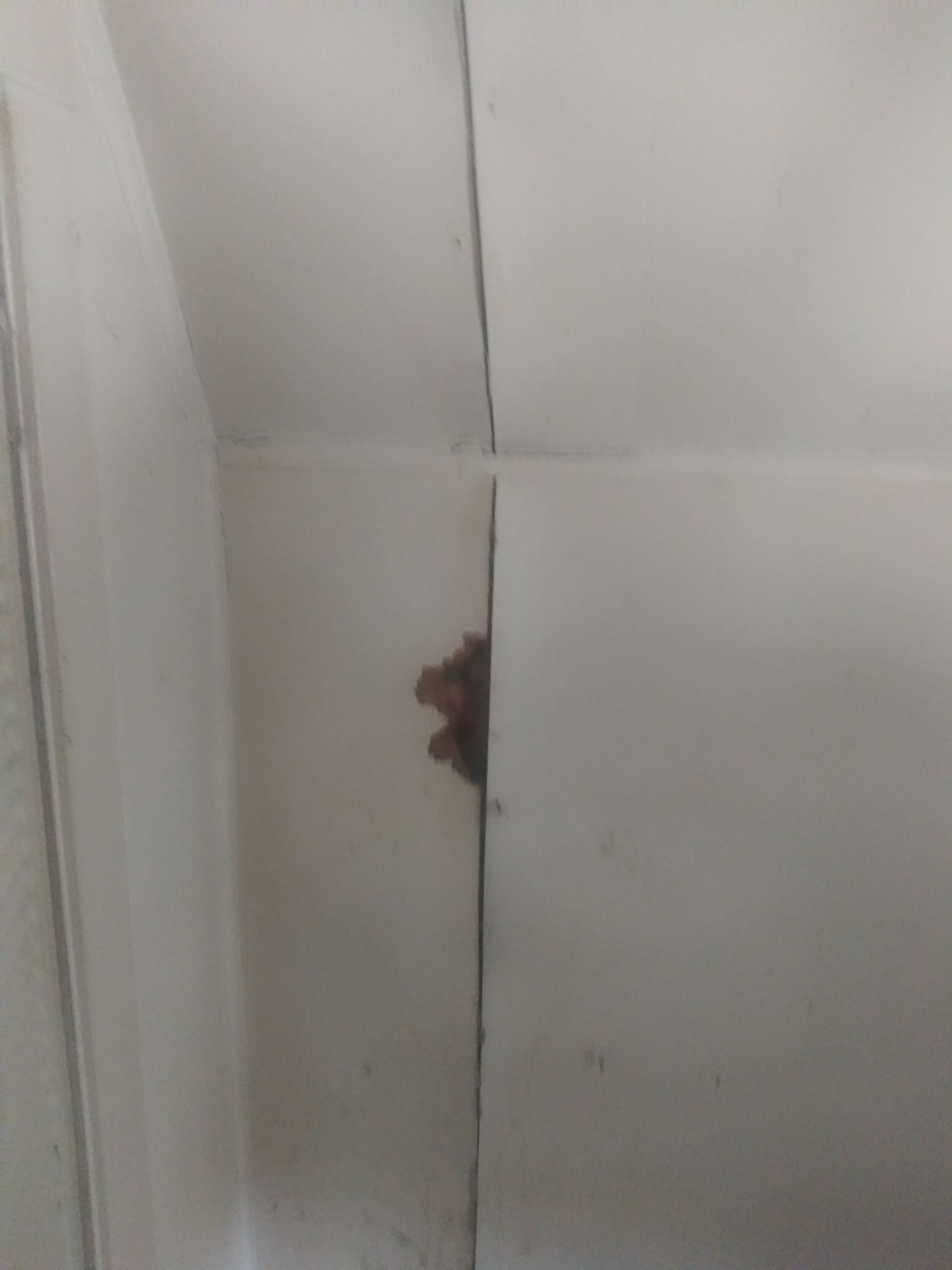 A person is peeking out from behind a white wall.