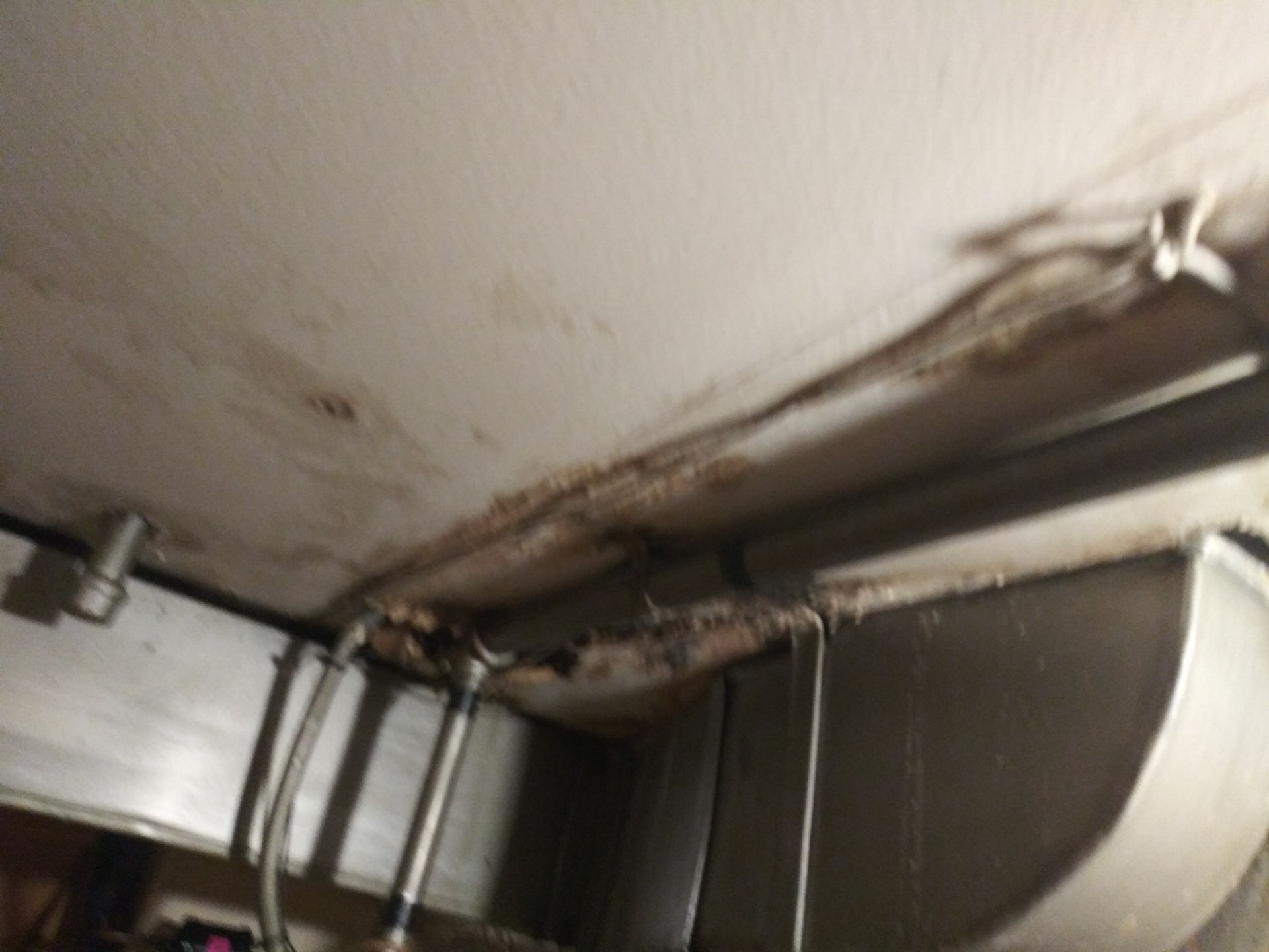 A ceiling with a lot of wires hanging from it.