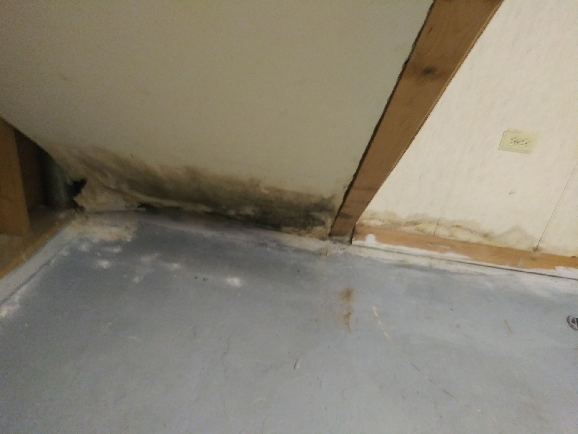 A corner of a room with a white wall and a blue floor