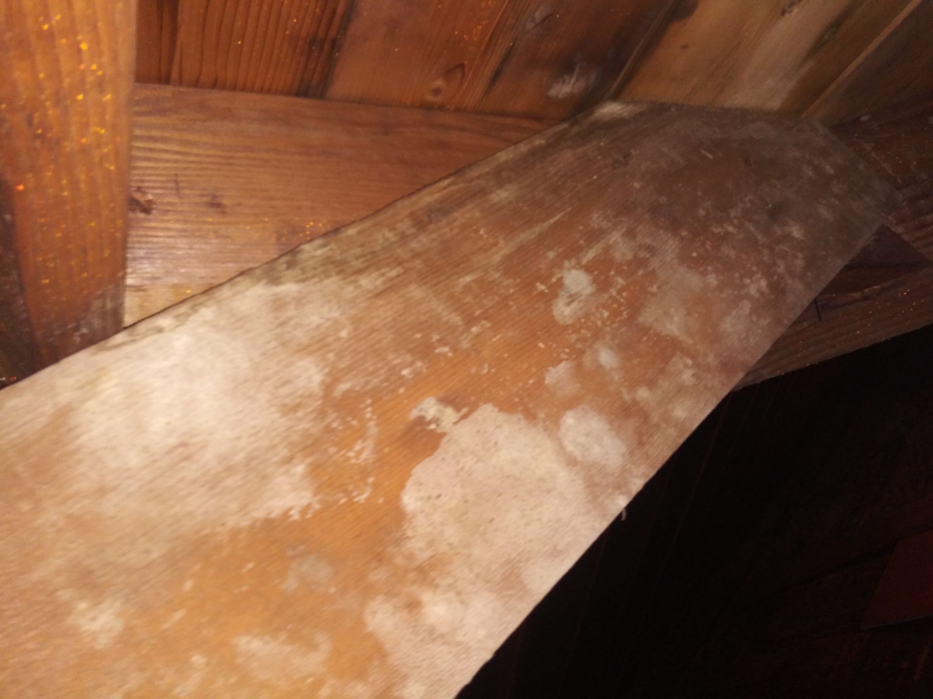 A close up of a piece of wood with white spots on it.