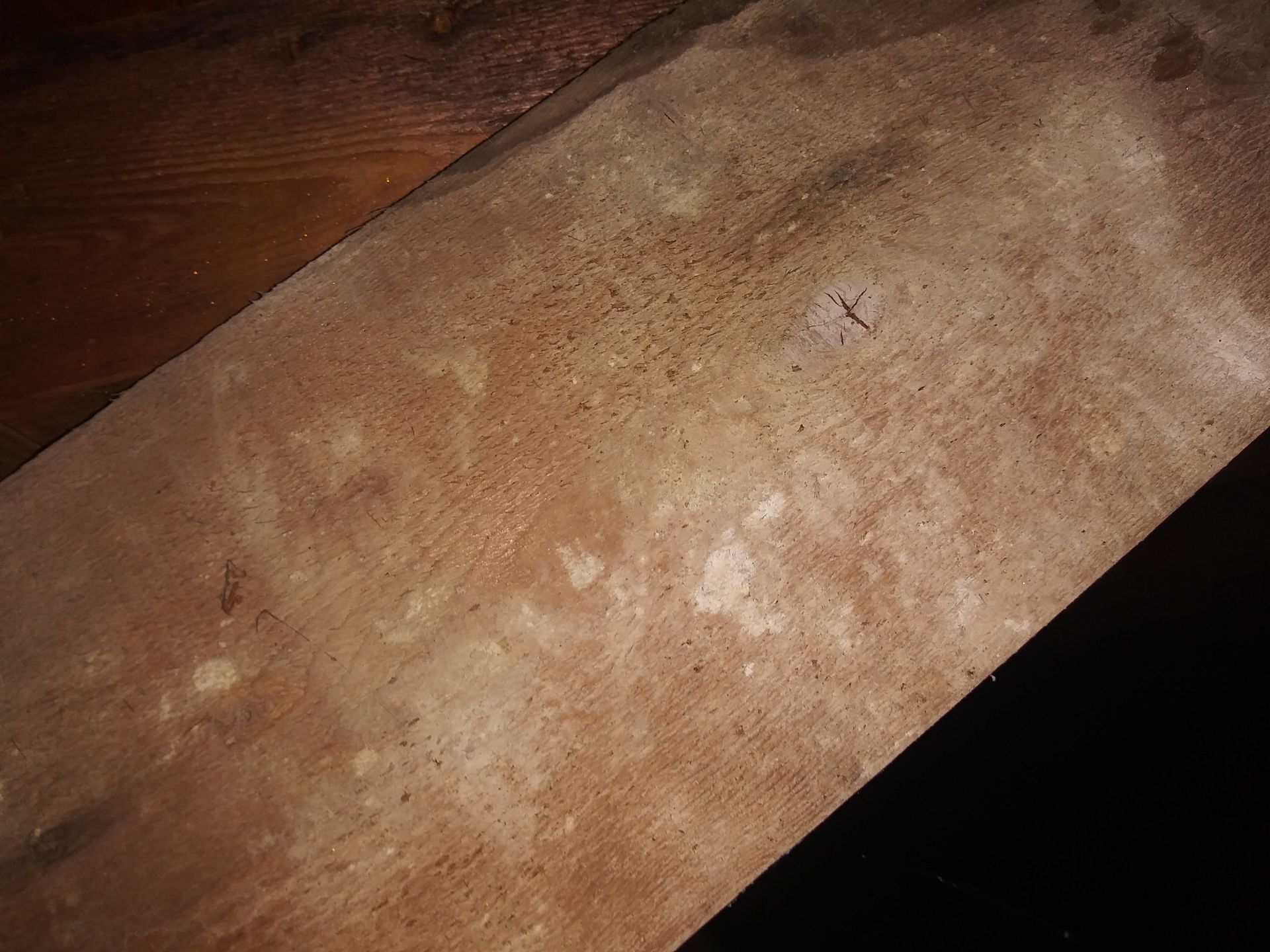 A close up of a piece of wood with white spots on it.