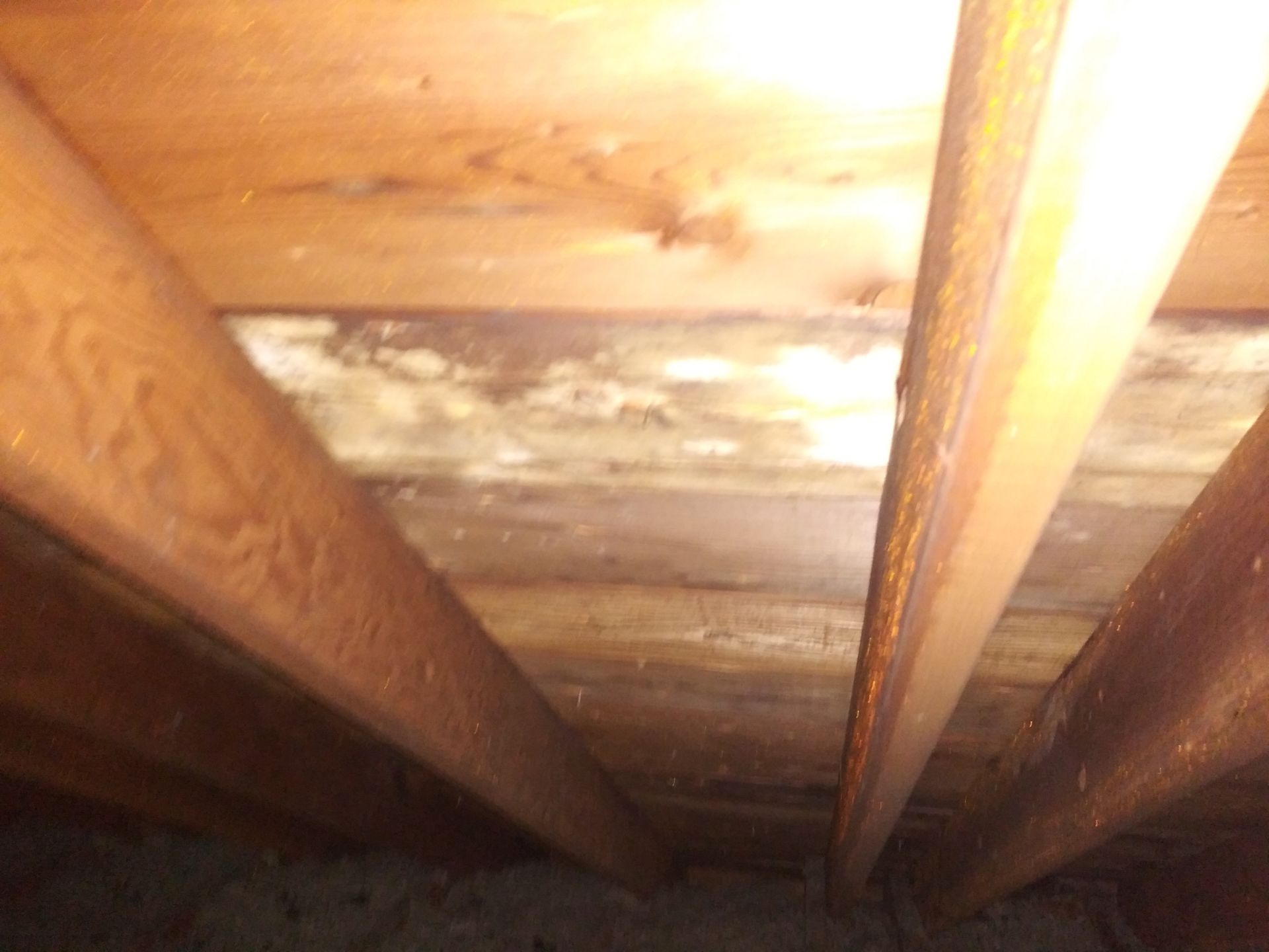 Looking up at the ceiling of a house with wooden beams.