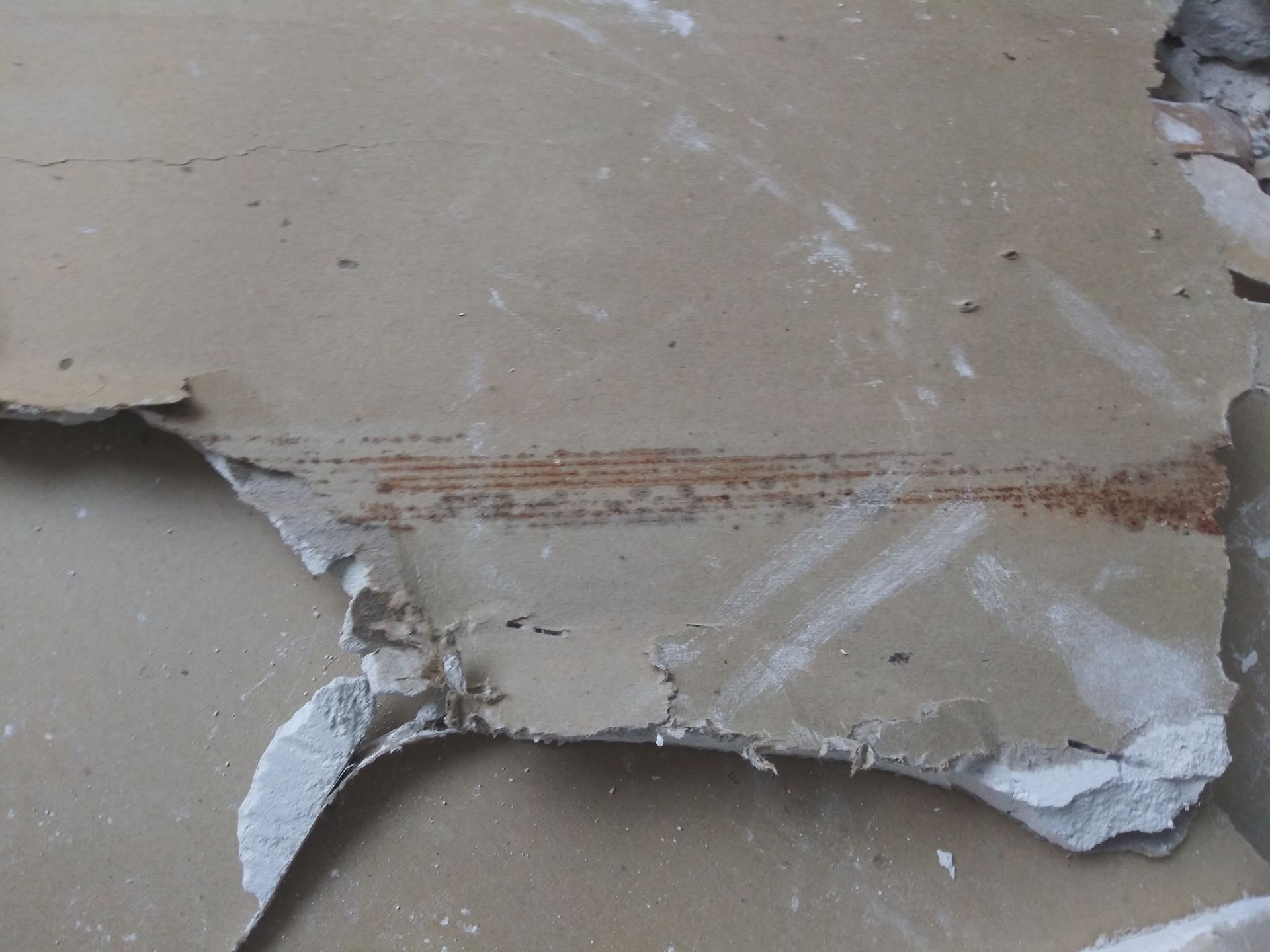 A piece of cardboard is laying on the ground