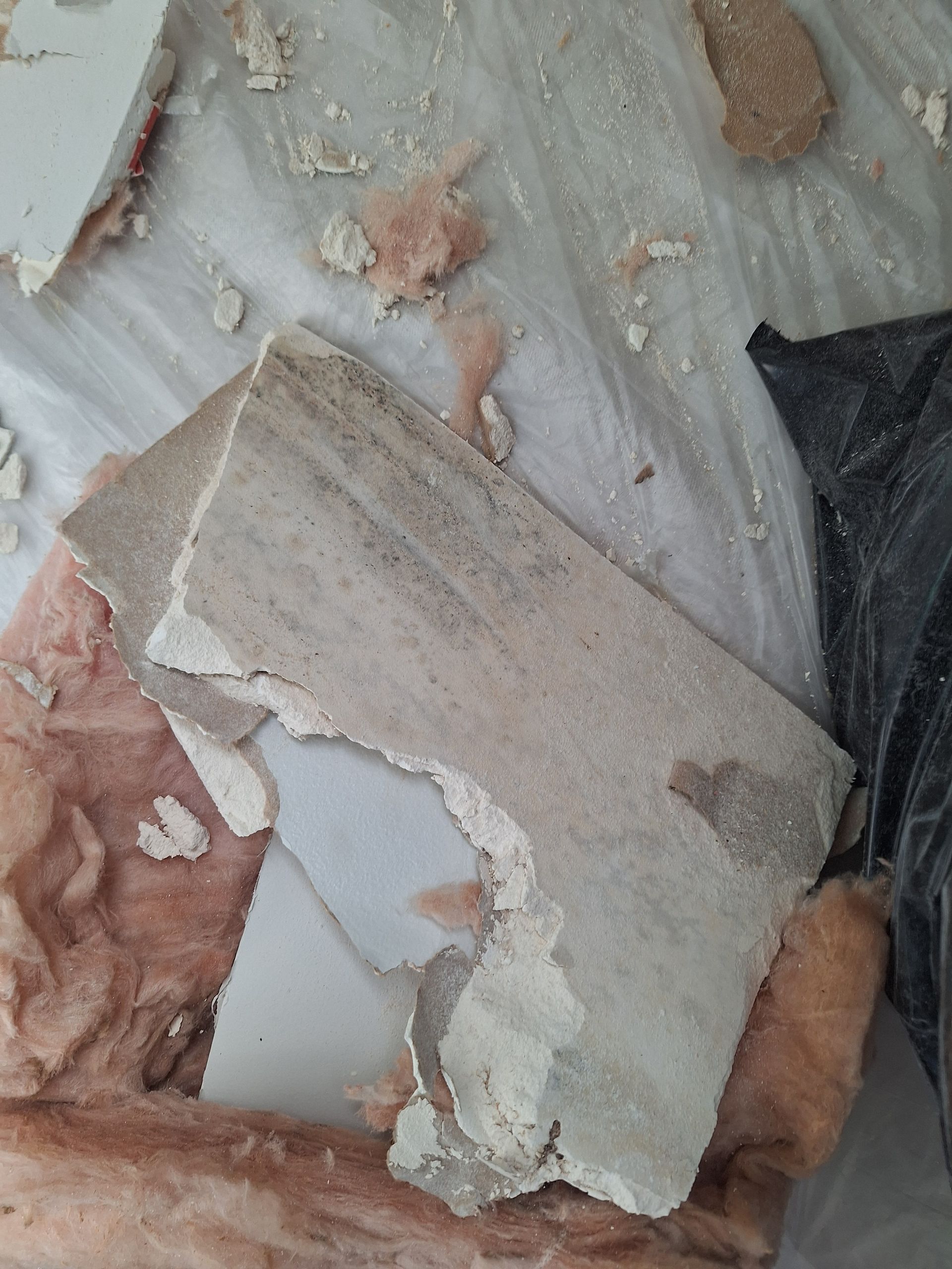 Pieces of damaged drywall and insulation, light and dark colors, with mold.