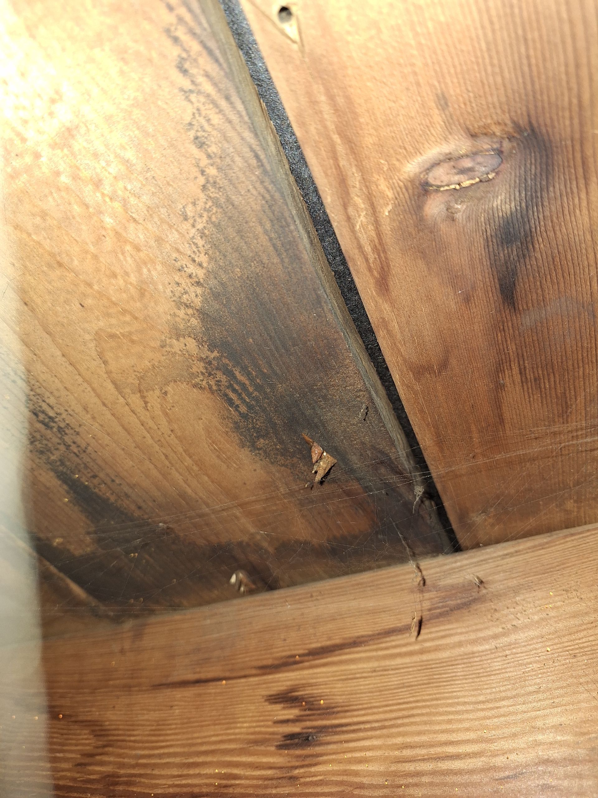 Dark staining on wooden boards, likely from water damage or mold.